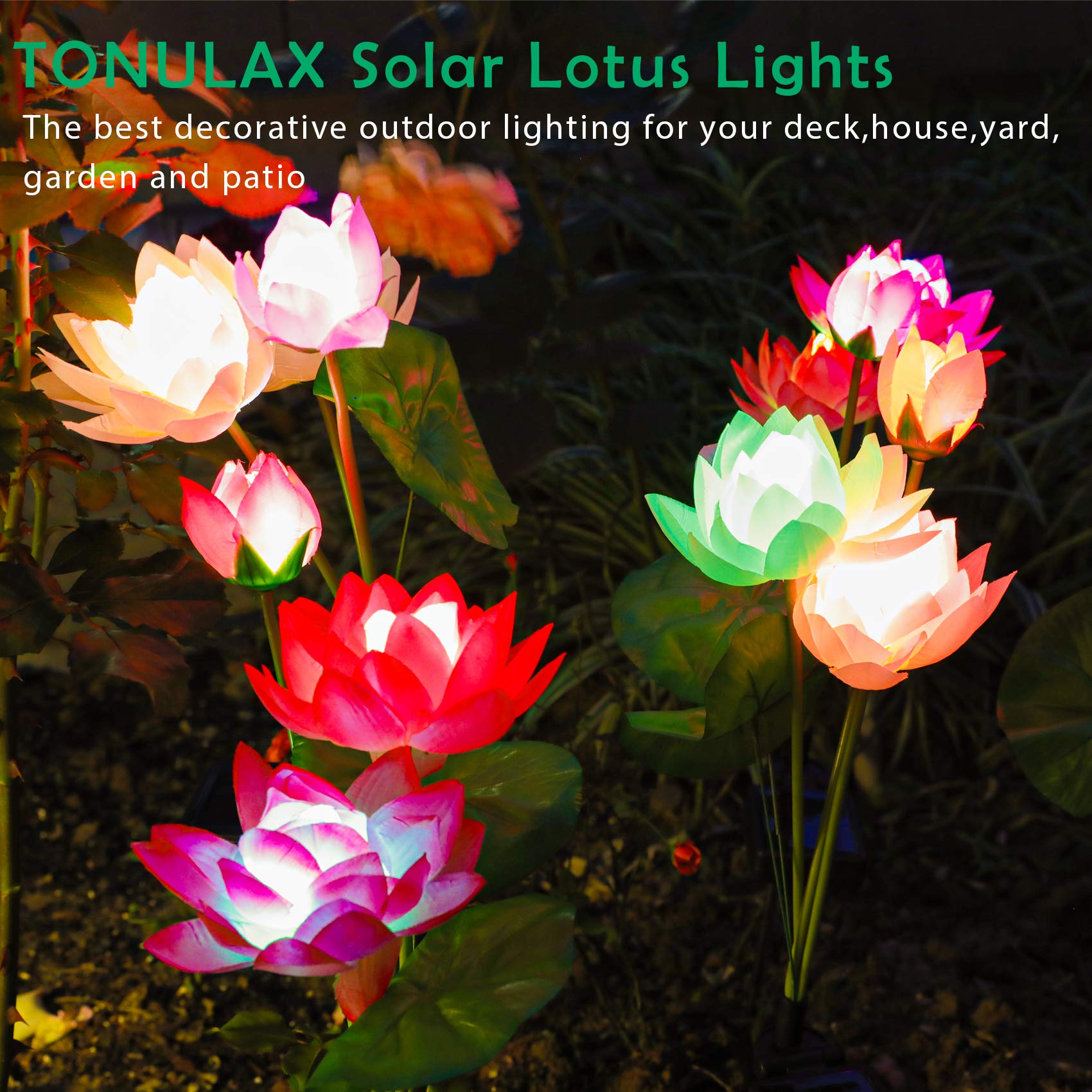 TONULAX Solar Lotus Flower Lights, Multicolor LED, Waterproof, Touch Control, 2-Pack, Plastic Silk