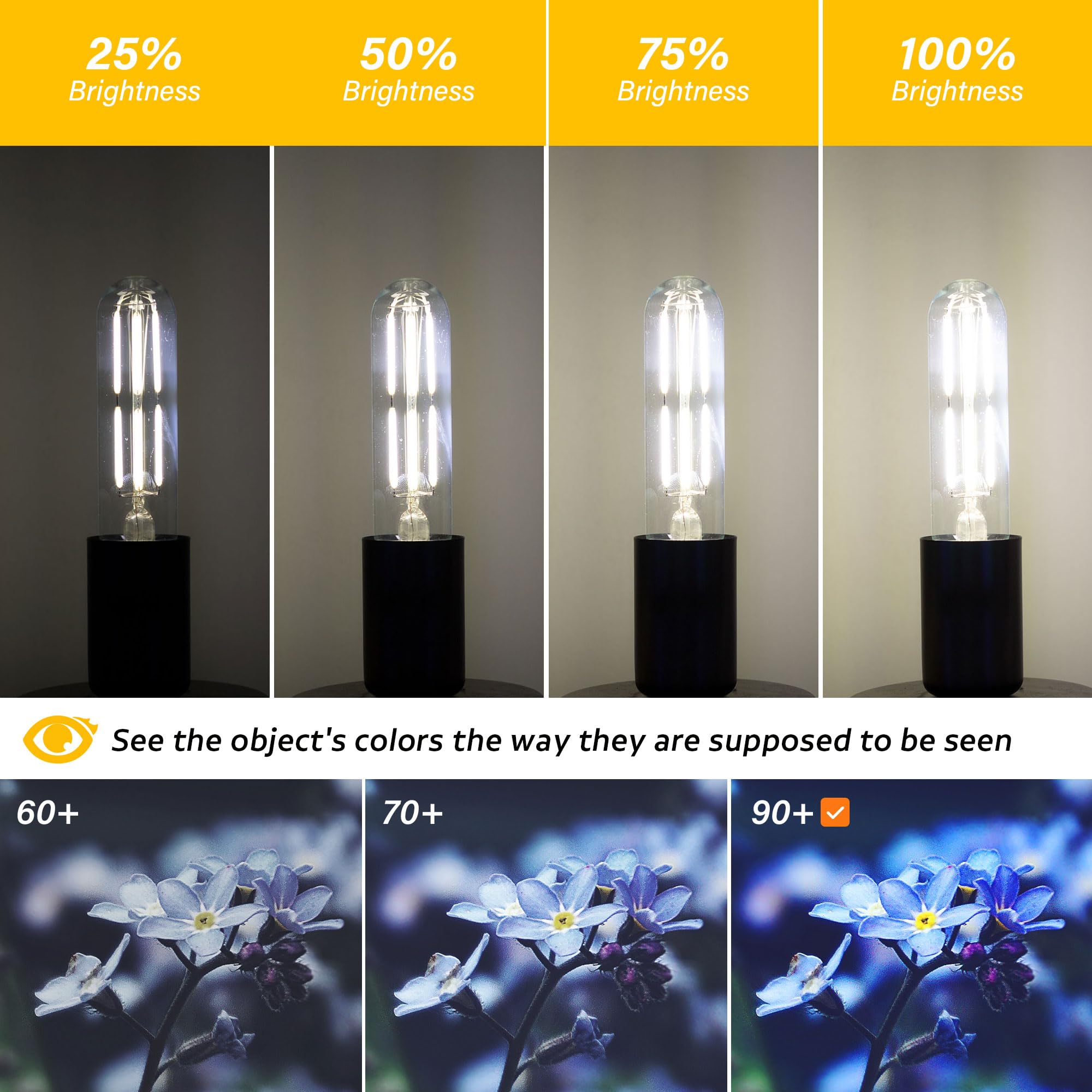 PADMO LUDAZ Dimmable E26 T10 LED Bulb 6W, Daylight 5000K, Glass, 5 Inch, 4 Pack