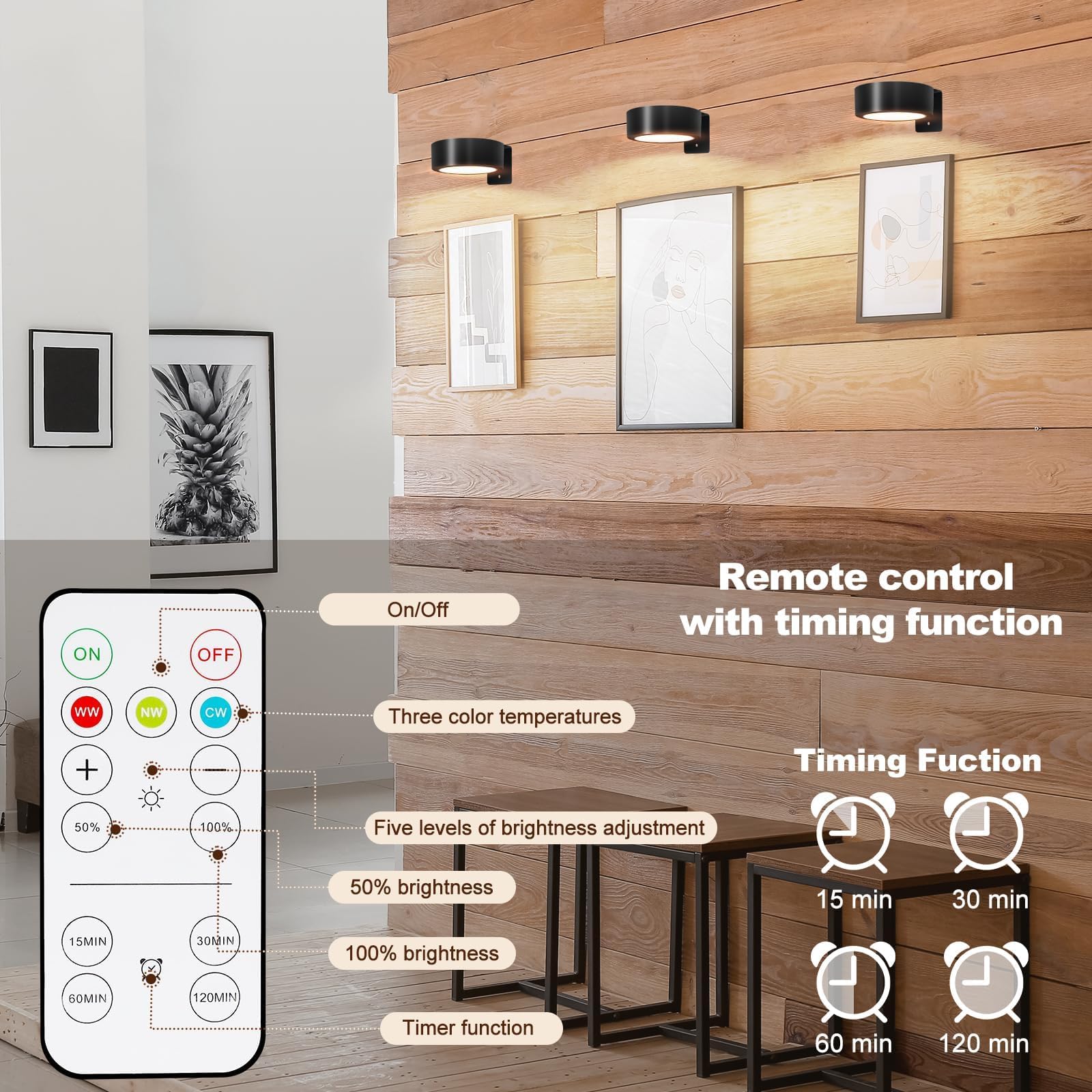 Ttq 4Pcs Magnetic Picture Lights Batteries Operated Painting Light With Telecontrol And Dimmable Timer,Black Art Display Light Wireless Walls Decor Puck Lights For Picture Frame Artworking Portraits