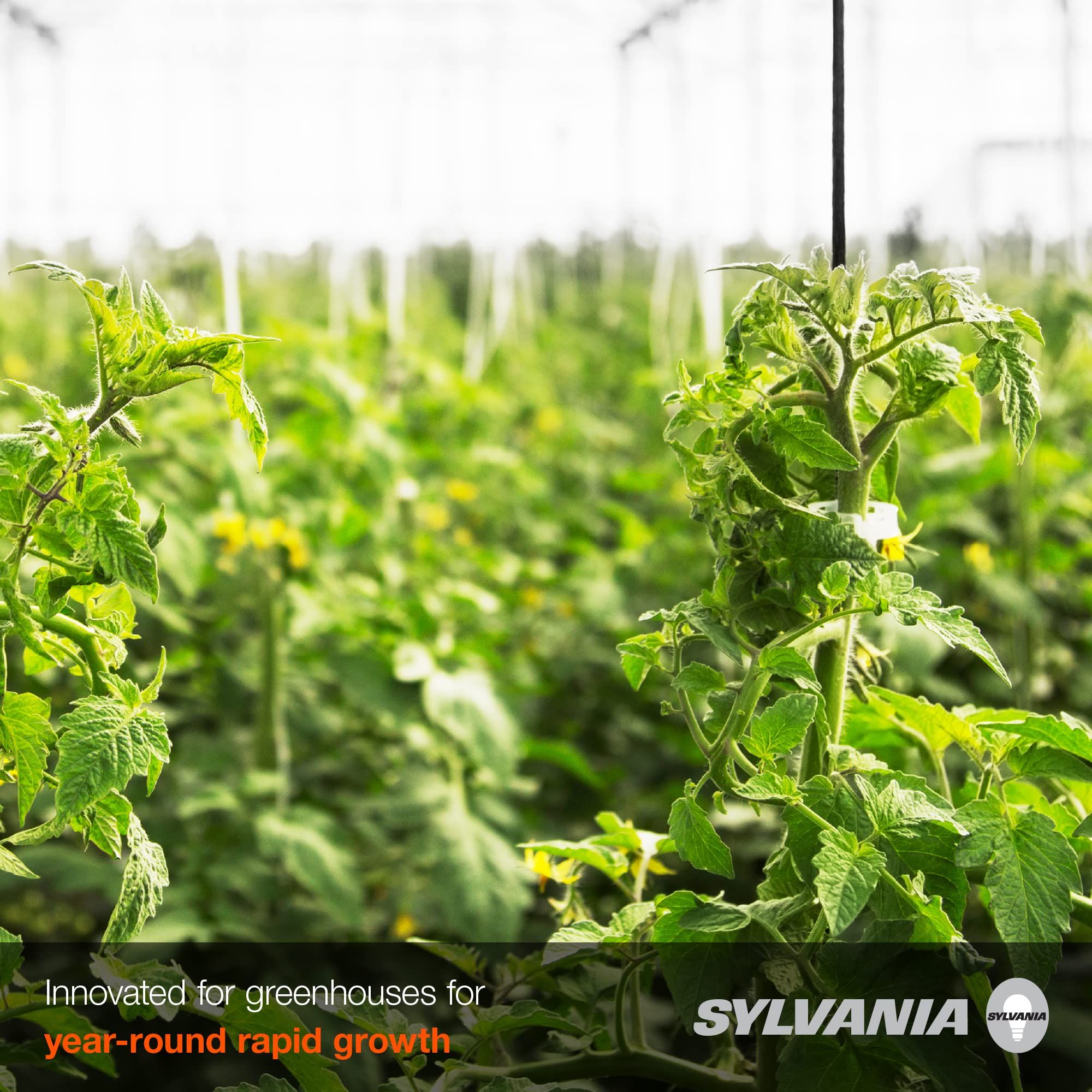 LEDVANCE SYLVANIA 400W High Pressure Sodium Grow Light, E39 Base, 50,000 Lumens, 2100K, Clear, Model 65308