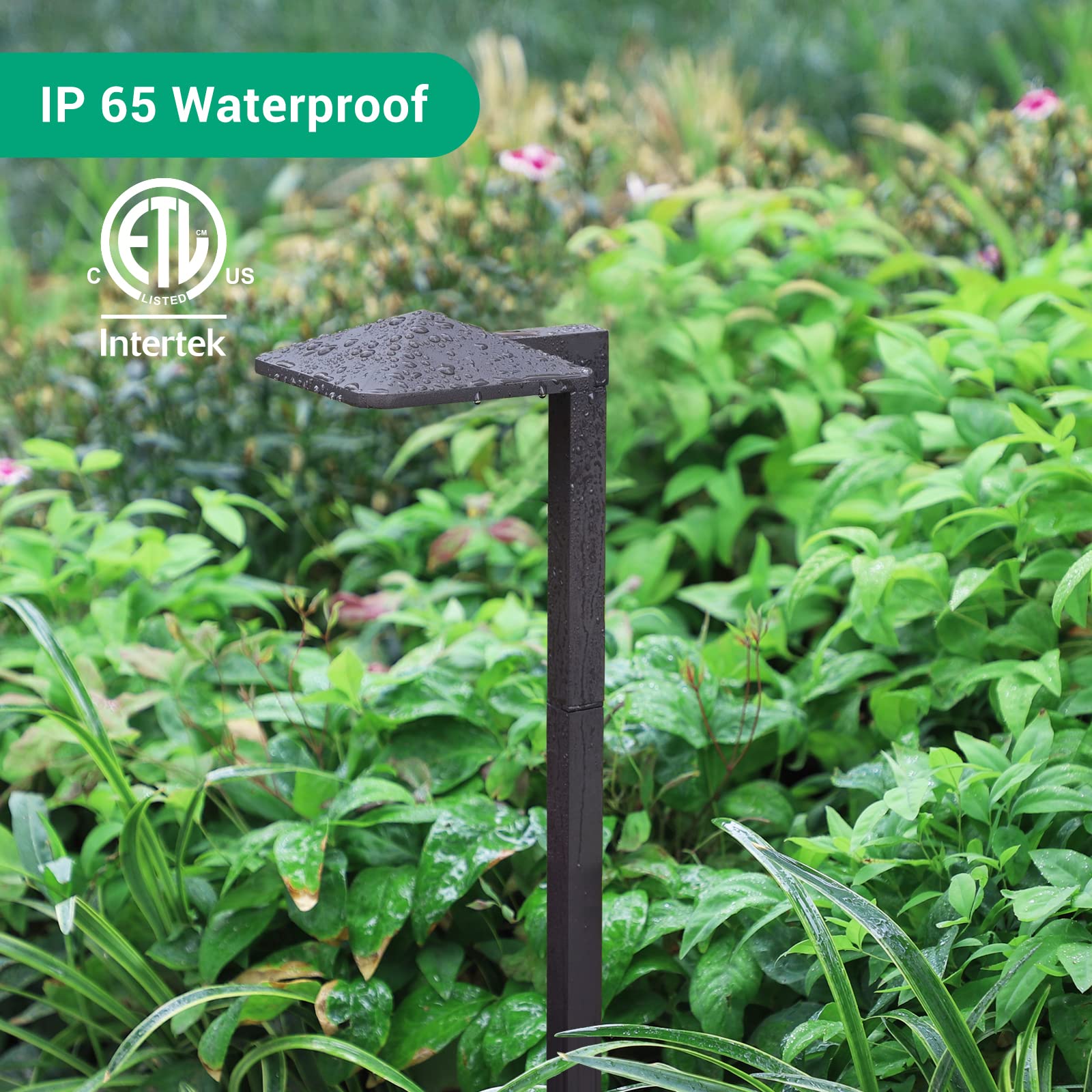 Edishine 3W Low Voltage Landscape Lighting, 230Lm, 3000K Led Pathway Lights, Waterproof, 4