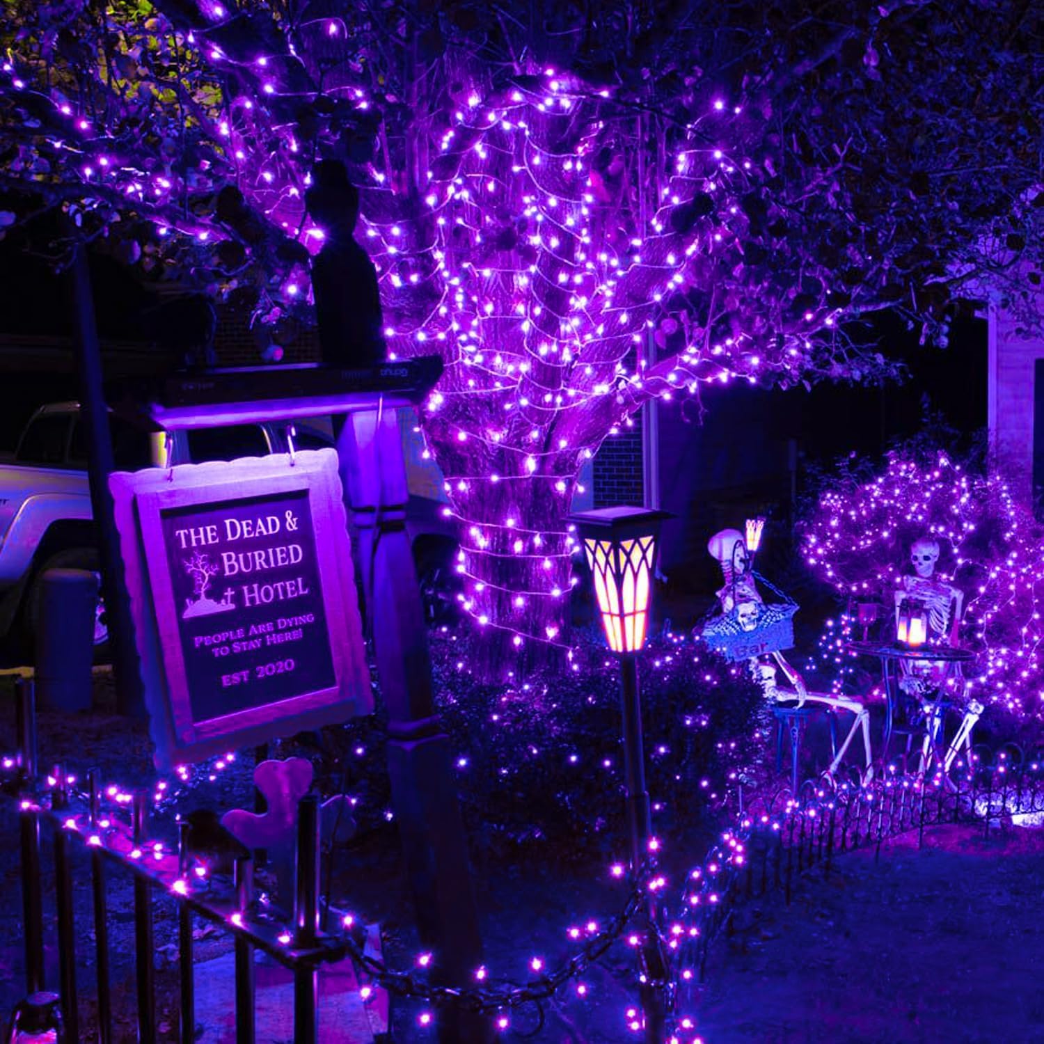 FULLBELL Black Light String Lights, 100 LEDs, 33ft Black Wire, Purple for Glow Party, Halloween, Christmas, Model FLEDSTL10M80D