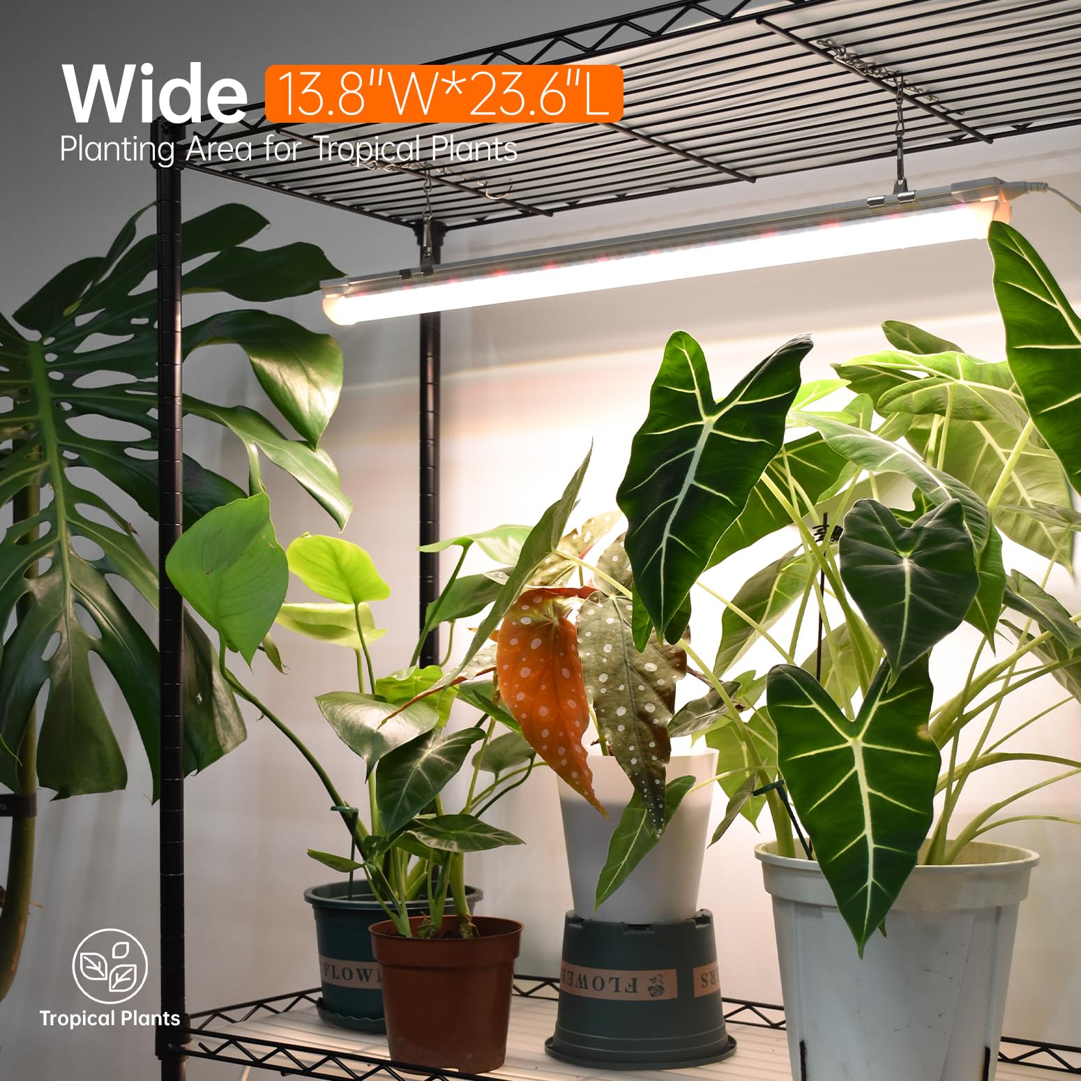 Bstrip Plant Shelf with Grow Light with Timer, Plant Stand with Adjustable Rack and Wheels, 3 Pack 72W T8 2FT Full Spectrum Grow