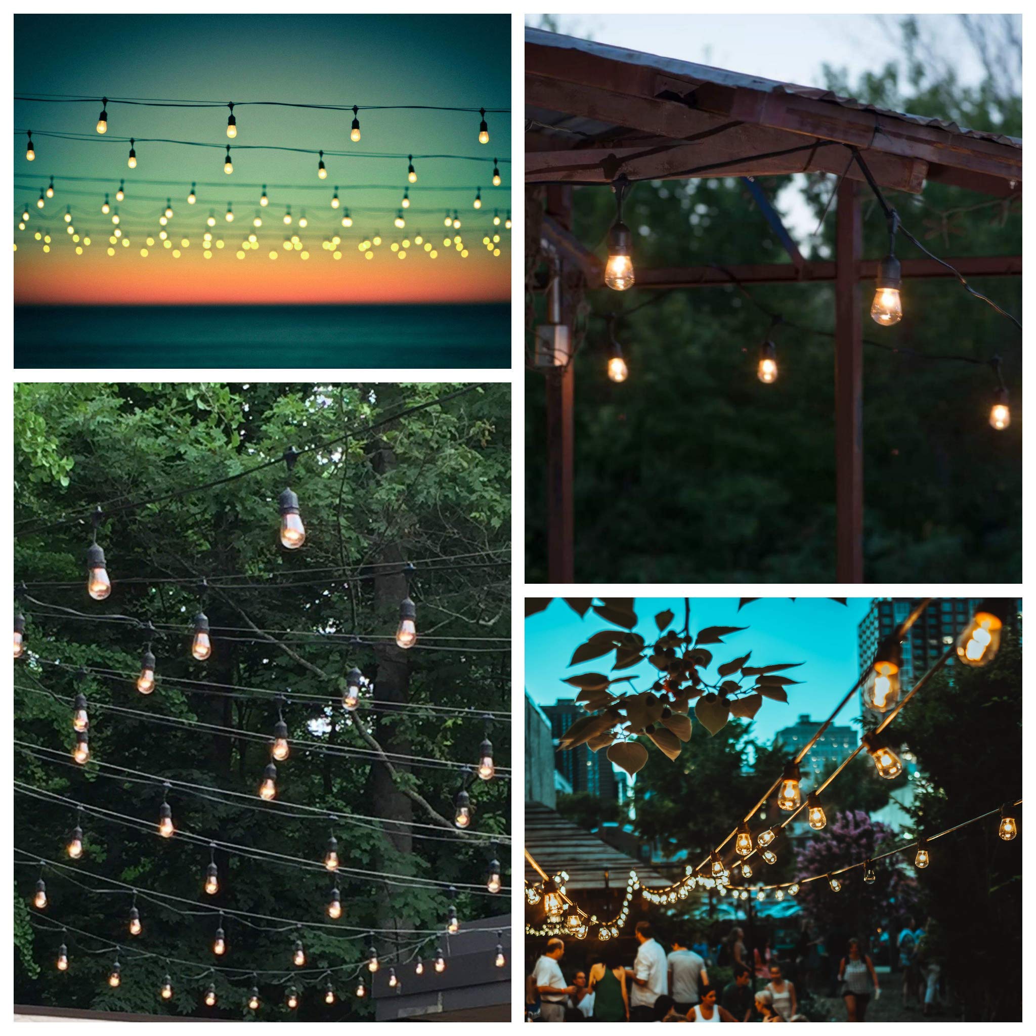 Hometown Evolution  Inc. E26 Outdoor Commercial String Lights With Suspended Socket For Weatherproof Heavy Duty Vintage Outside Lighting (S14 Zig Zag Edison 11 Watt Bulbs  100 Foot 50 Socket)