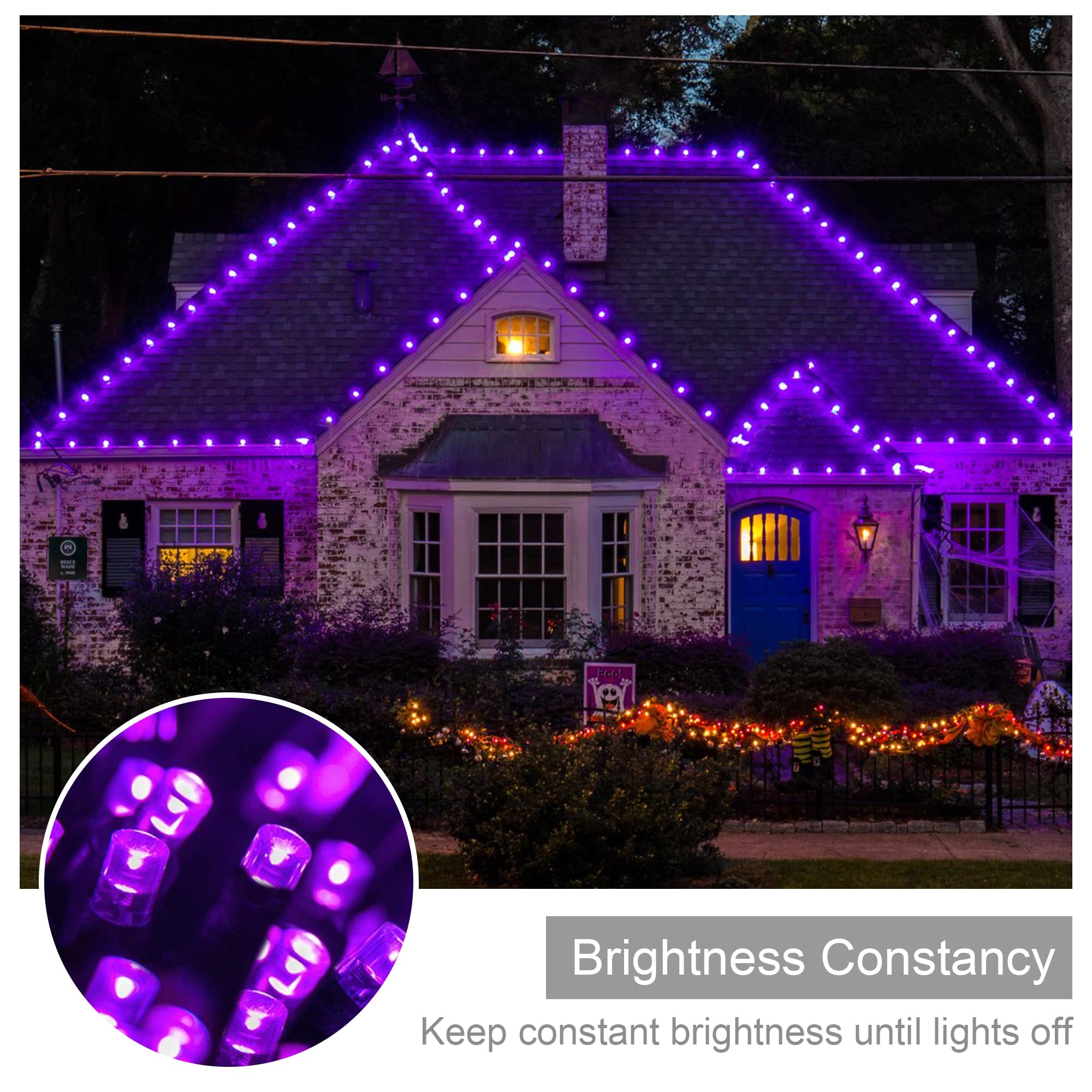 weillsnow 500 LED Purple Christmas Lights, 164FT, Waterproof, 8 Modes, Indoor Outdoor Decor