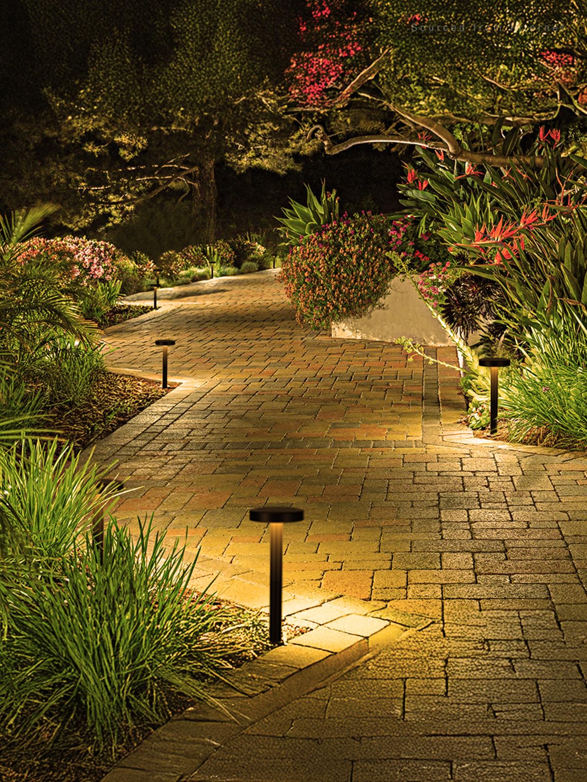 LEONLITE 12-Pack 2CCT Solar Powered Path Lights, 50/100% Dimmable, Auto Dusk to Dawn Landscape Pathway Lights for Sidewalk, Driv