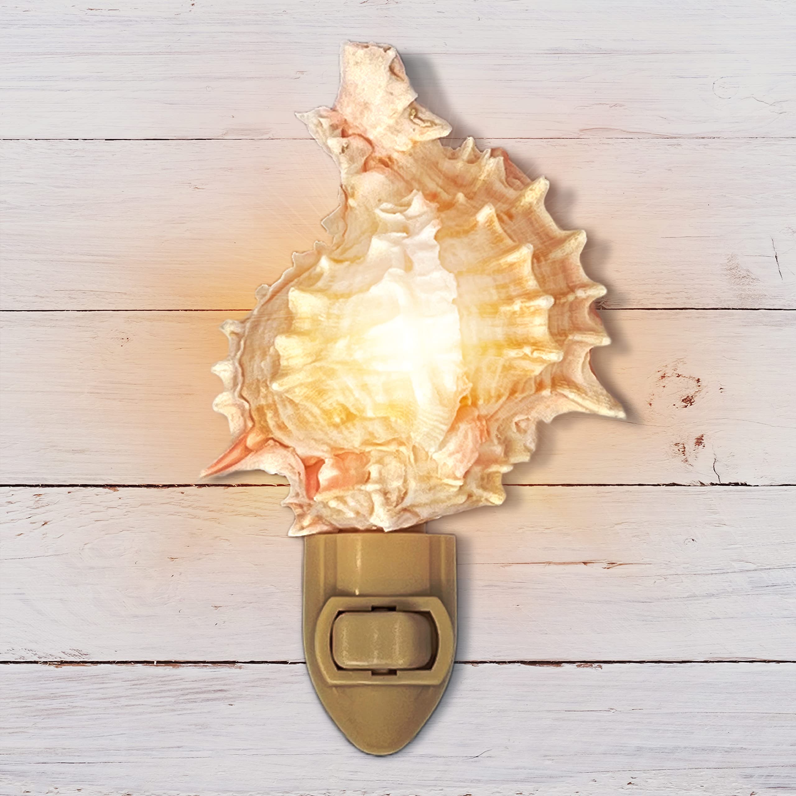 Tumbler Home Seashell Night Light, Murex Pink, Coastal Décor, Model DCR-NTL-MUREX-PINK