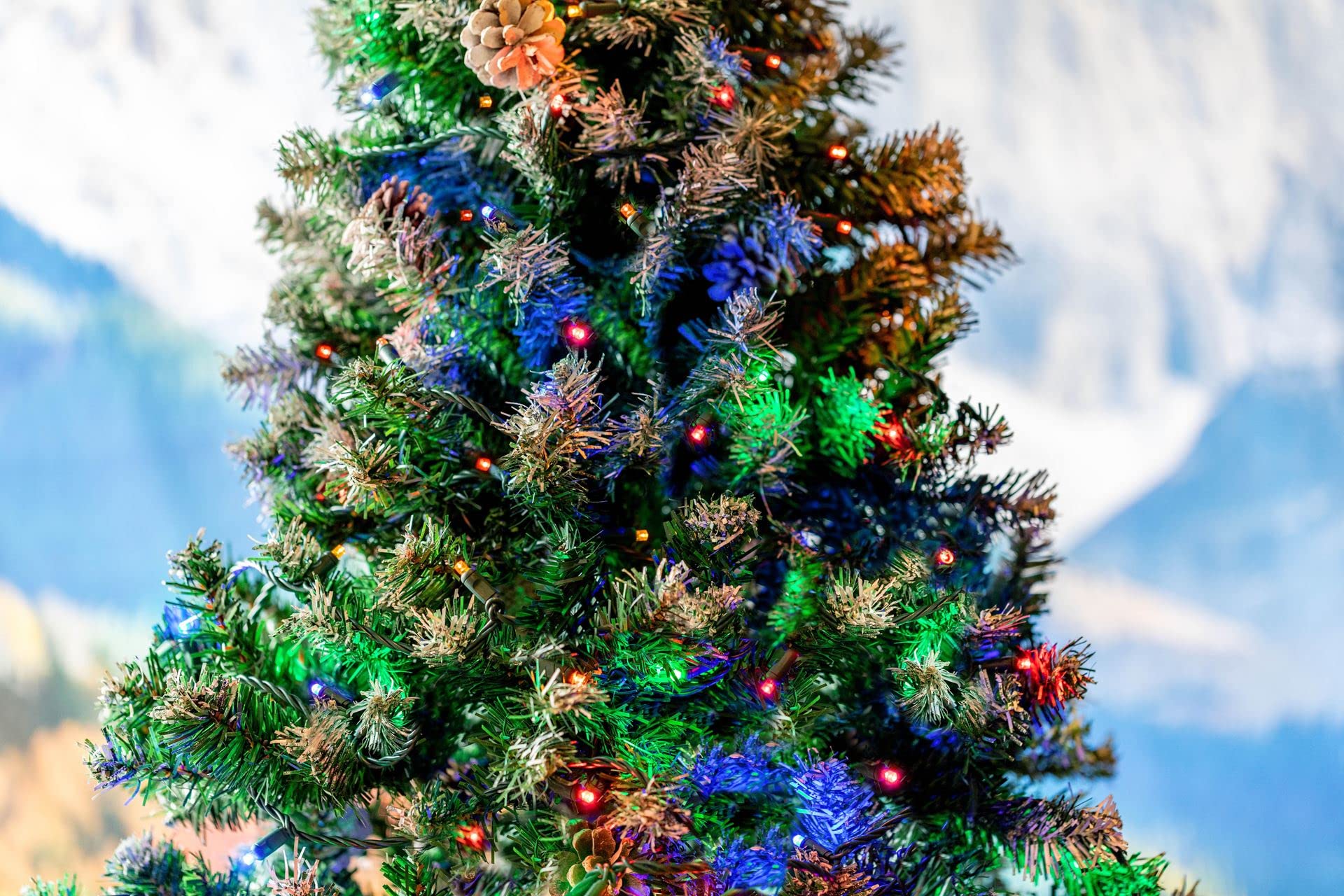 Novelty Lights 50Ft 100 Multicolor Mini Led String Lights Outdoor/Indoor Connectable Christmas Lights On Green Wire, Commercial