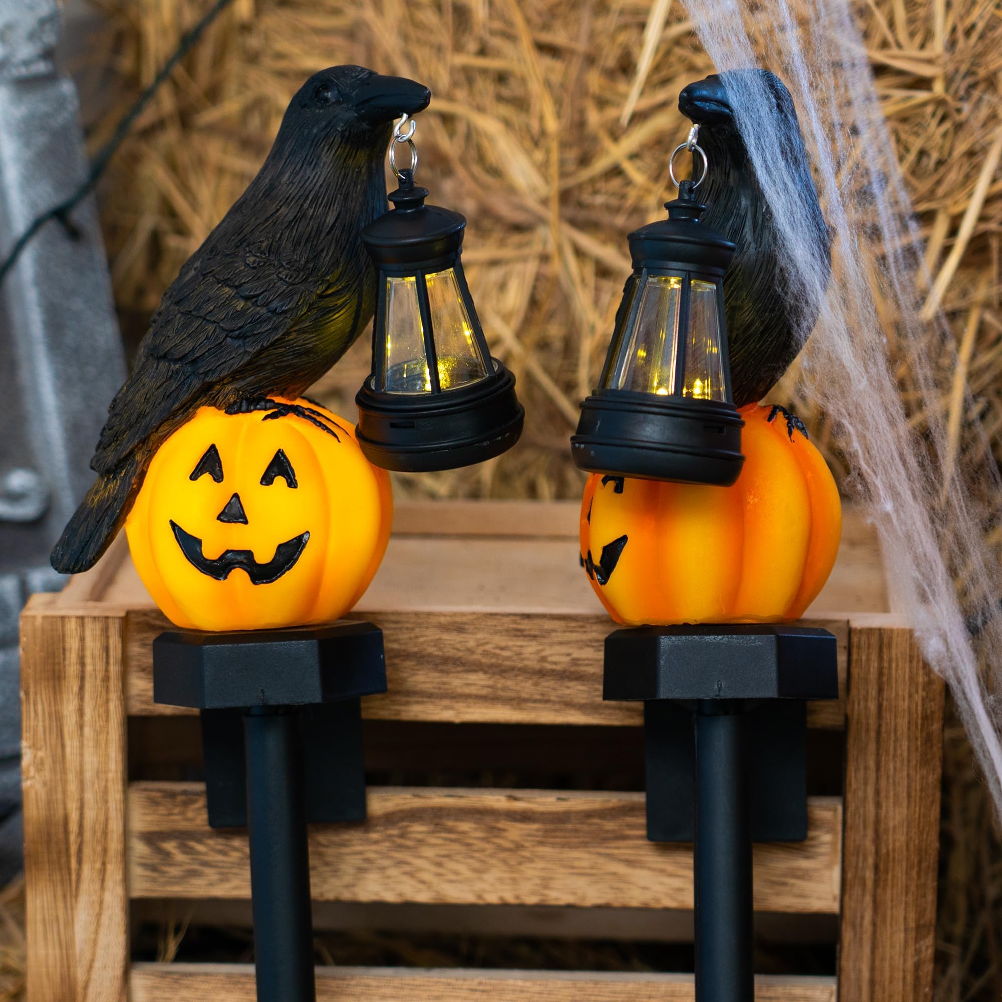 Dazzle Bright 2 Pack Halloween Crow Pathway Lights Outdoor  Solar Powered Resin Crow With Pumpkin Walkway Lights  Stake Light For Halloween Pathway Garden Lawn Yard Gifts Decoration