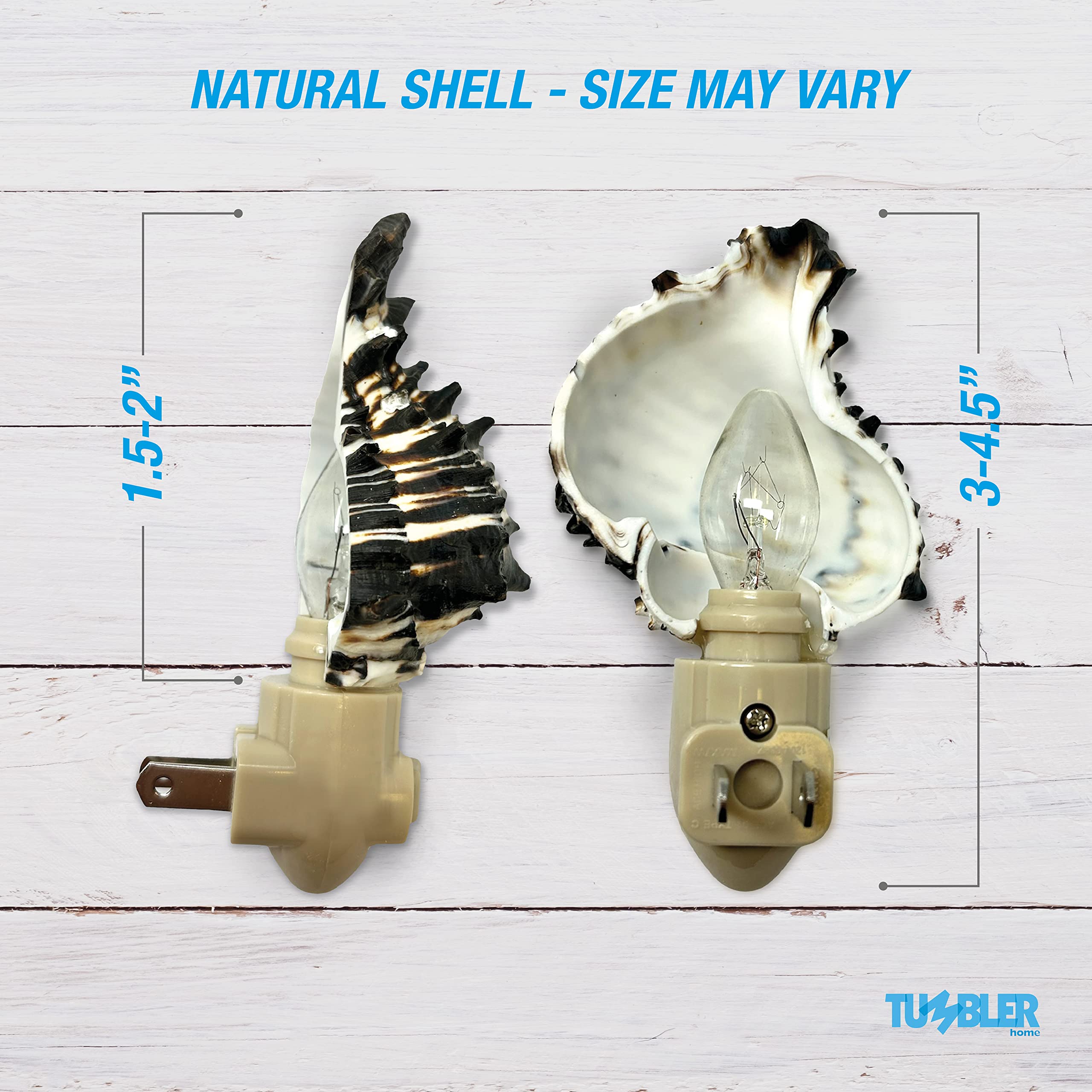 Tumbler Home Seashell Night Light, Murex Black, Coastal Décor, Model DCR-NTL-MUREX-BLK