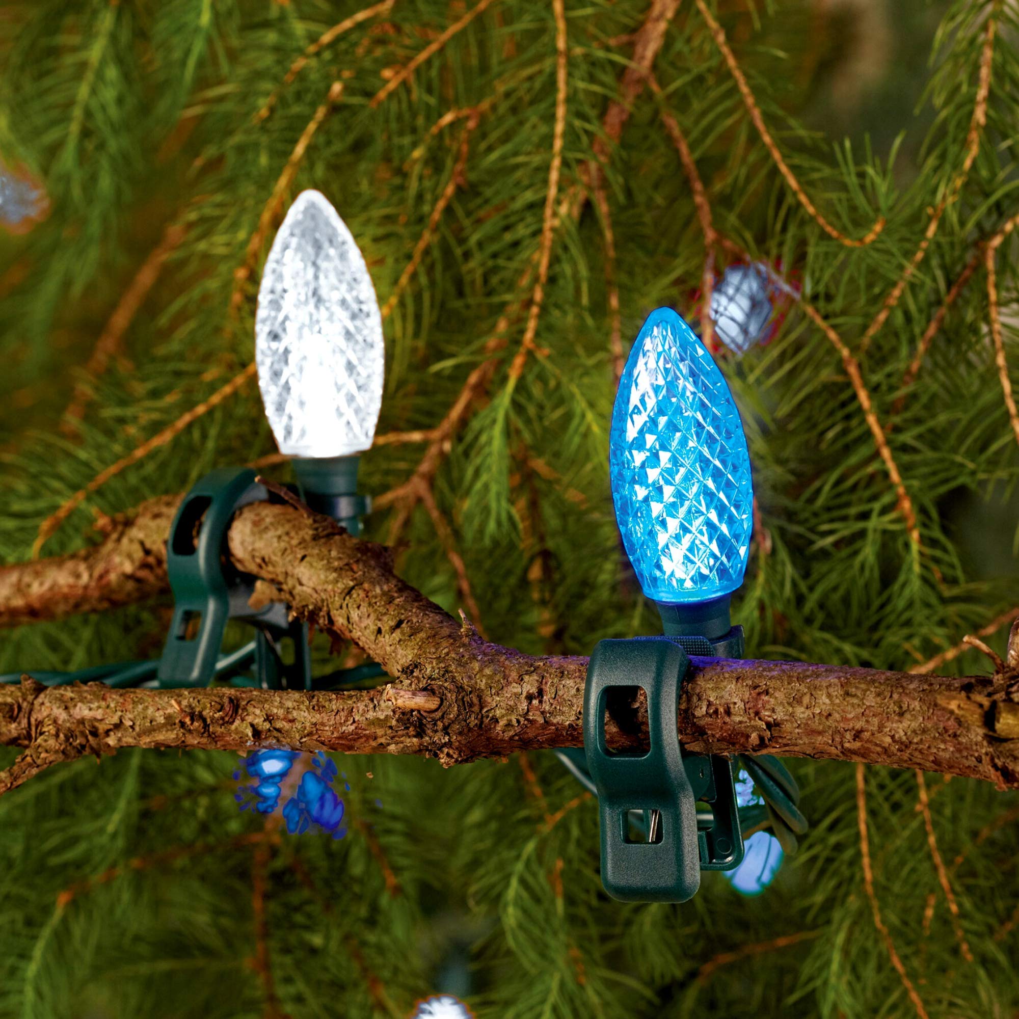 Noma C9 Led Quick Clip Christmas Lights | Built-In Clip-On  String Lights | 24 Pure White & Blue Bulbs | 16  Foot Strand