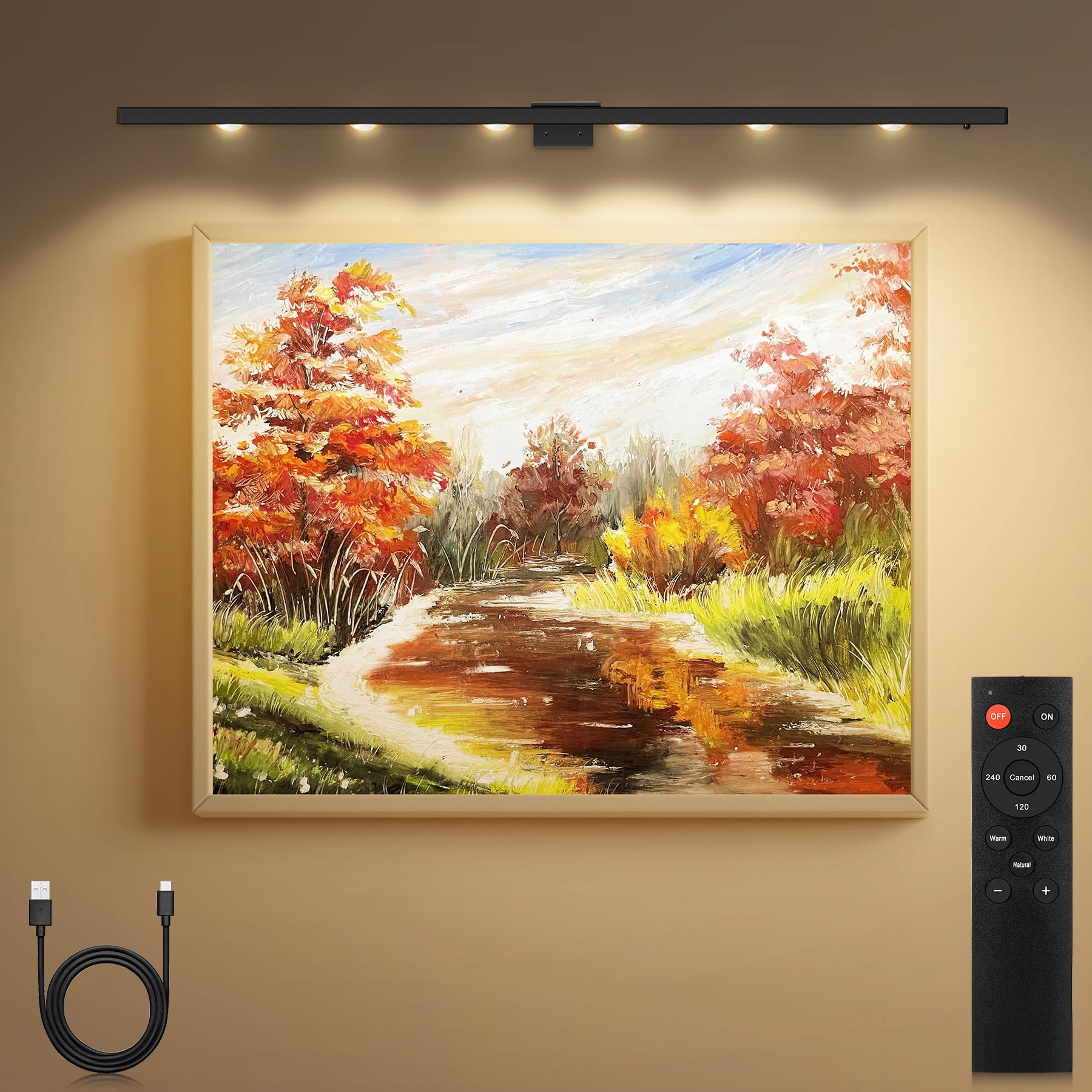 TINTINDOC 22''Wireless LED Picture Light Battery Rechargeable 6000mAh Full Metal,Painting Light for Wall with Remote Control,3 Lighting Dimmable Timer Off, Art Light for Display Wall Picture, 400LM