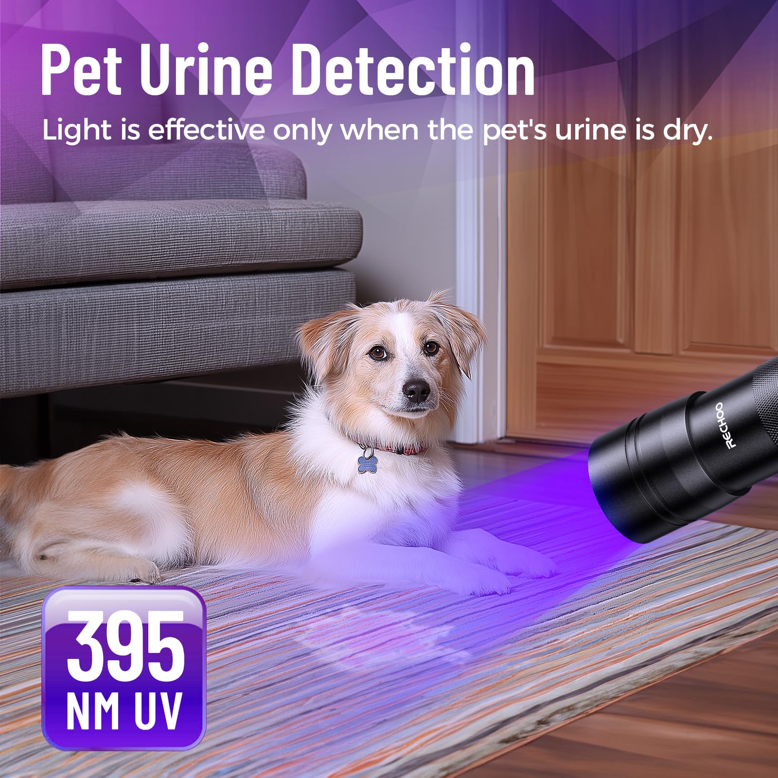 Black Light Uv Flashlight 2 Pack, 12 Led 395Nm Uv Flashlight, Portable Mini Uv Light Waterproof, Blacklight For Pet Urine Detect