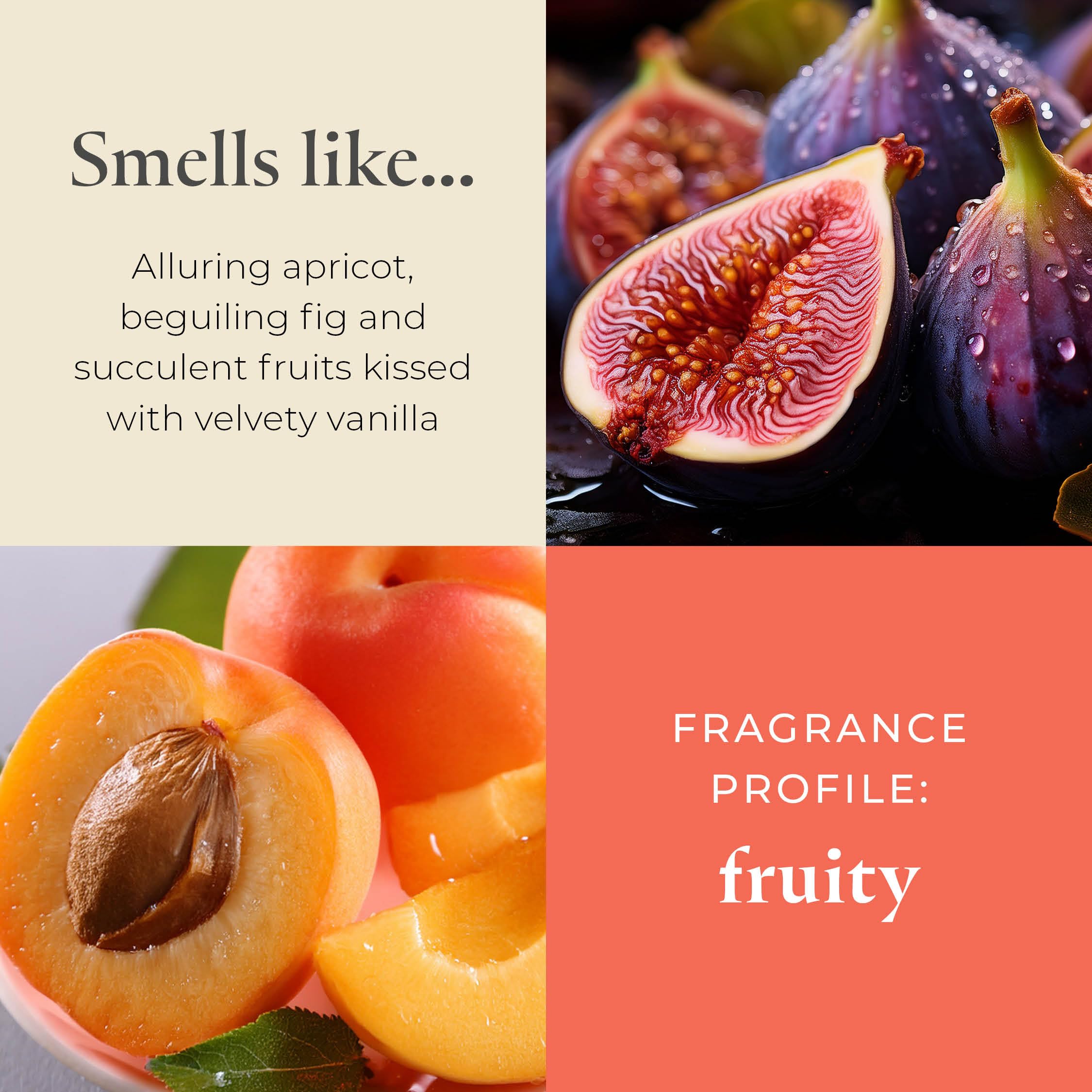 Partylite Gift Set Of 12 Universal Tea Lights  Fig Fatale Scented  Notes Of Apricot  Green Fig  Peach  Mango  Strawberry And Vanilla  4-6 Hour Burn Time  stylish & Rich  Perfect For Gifting