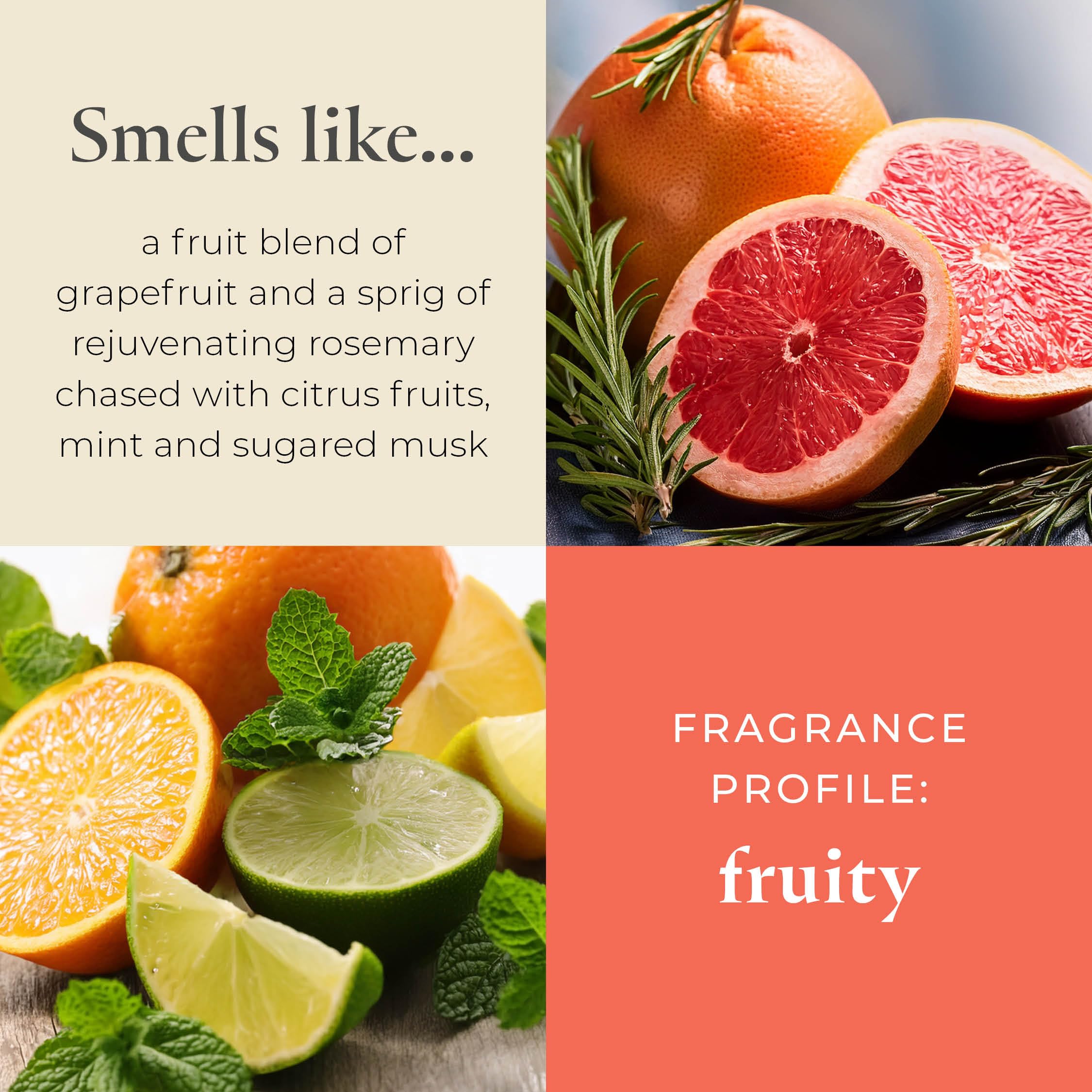 Partylite Set Of 12 Tea Lights Candles  G fruit & Rosemary Scent  Aromatherapy Scented Candles Gift Set  Up To 4 To 6 Hours Burn Time