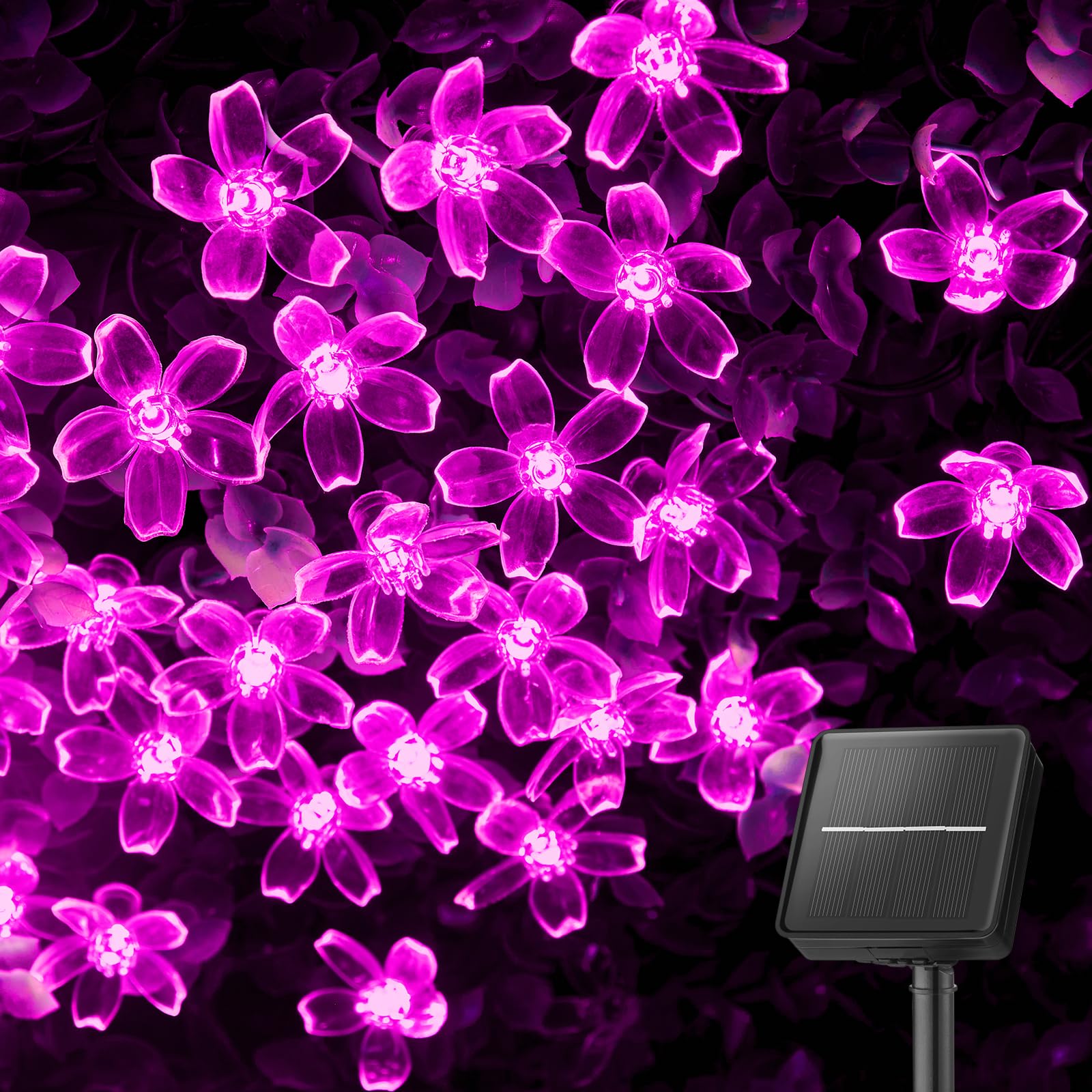 Brightown 60 LED Solar String Lights, Pink, Outdoor Waterproof Fairy Lights for Garden, 1 Pack, Model 62741733-140b-4c35-8bb8-45d