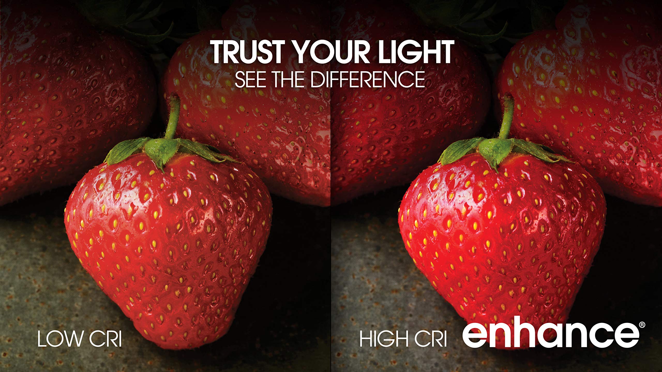 Feit Electric Led Par30L Bulb, 75W Equivalent, Dimmable, 3000K Warm White, 750 Lumens, 22 Year Lifetime, E26 Base, Par30 Flood L