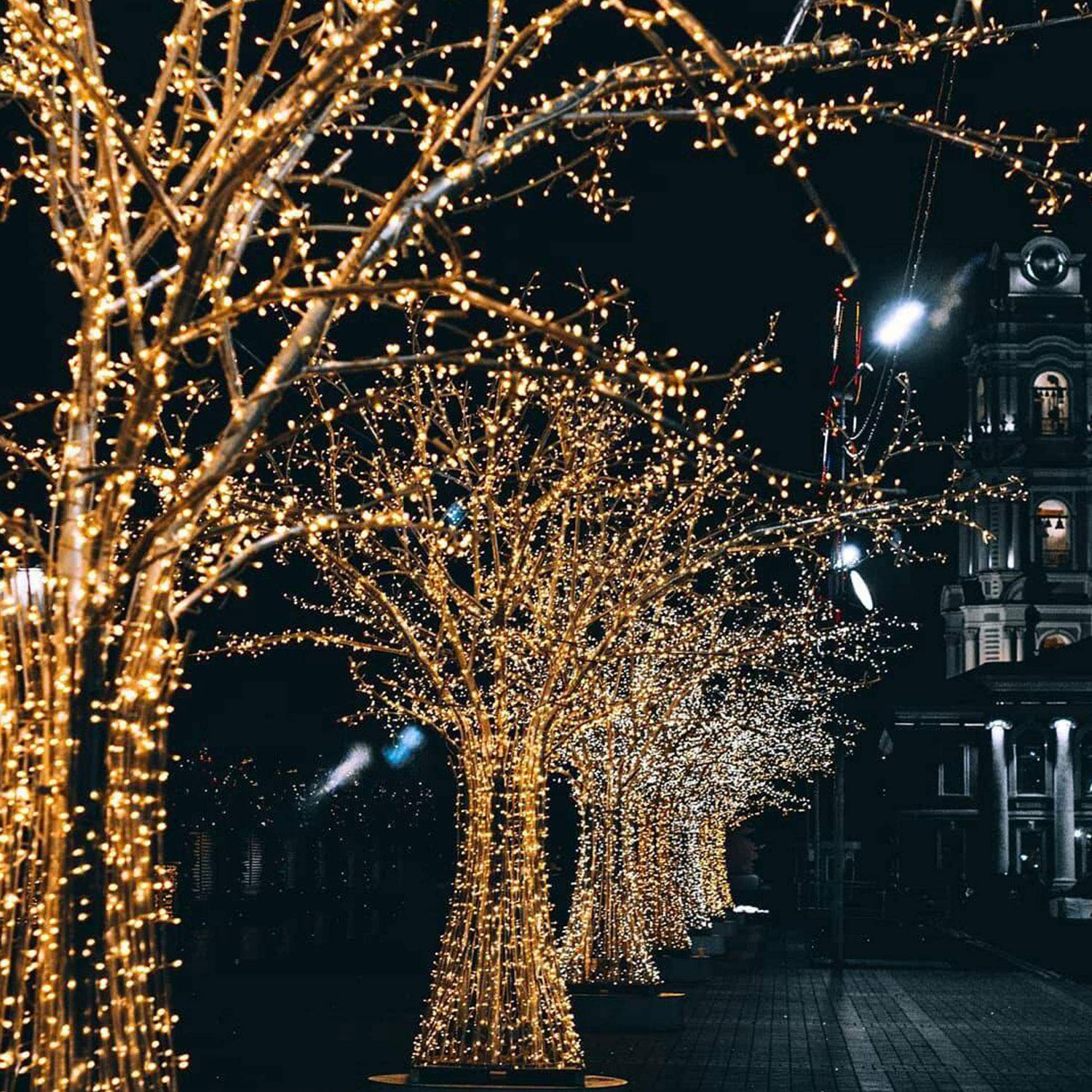 woohaha Solar Fairy String Lights Outdoor Waterproof, 2 Pack 33ft 100LED Solar Powered String Lights for Christmas Patio Home, W