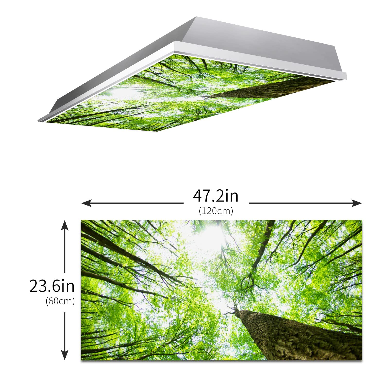 BIROSVSY Fluorescent Light Covers - Backlit Film, 22.83in x 46.5in, Giant Trees Design for Classroom and Office