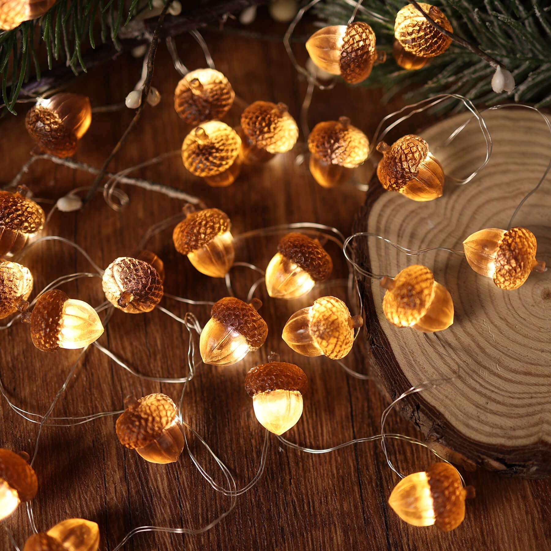 JASHIKA Acorn String Lights - Thumbnail 2