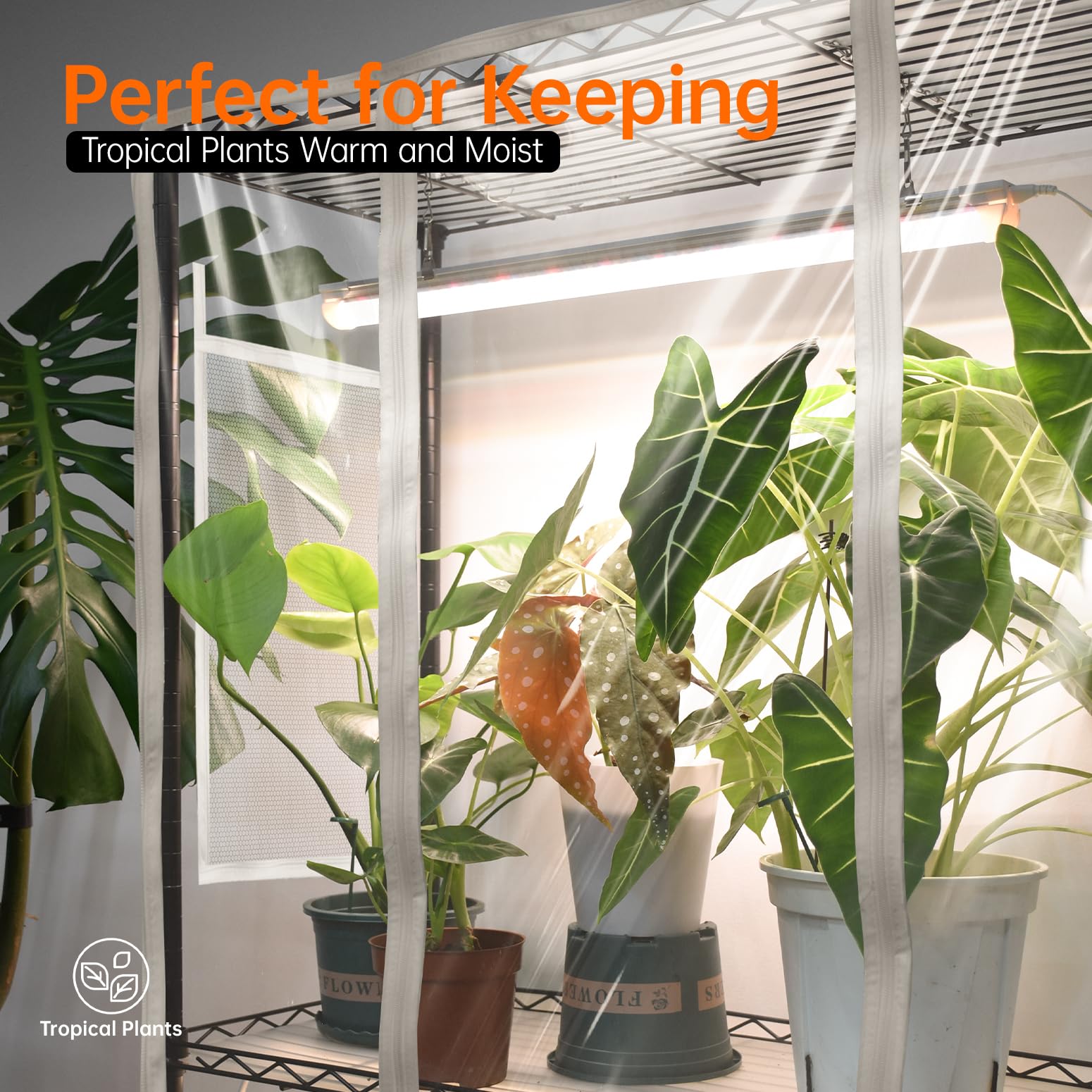 Bstrip Indoor Greenhouse with Grow Light, Metal Plant Stand, 3 Pack T8 2FT Full Spectrum Plant Lights, Timer, Black, 23.5x13.8x5