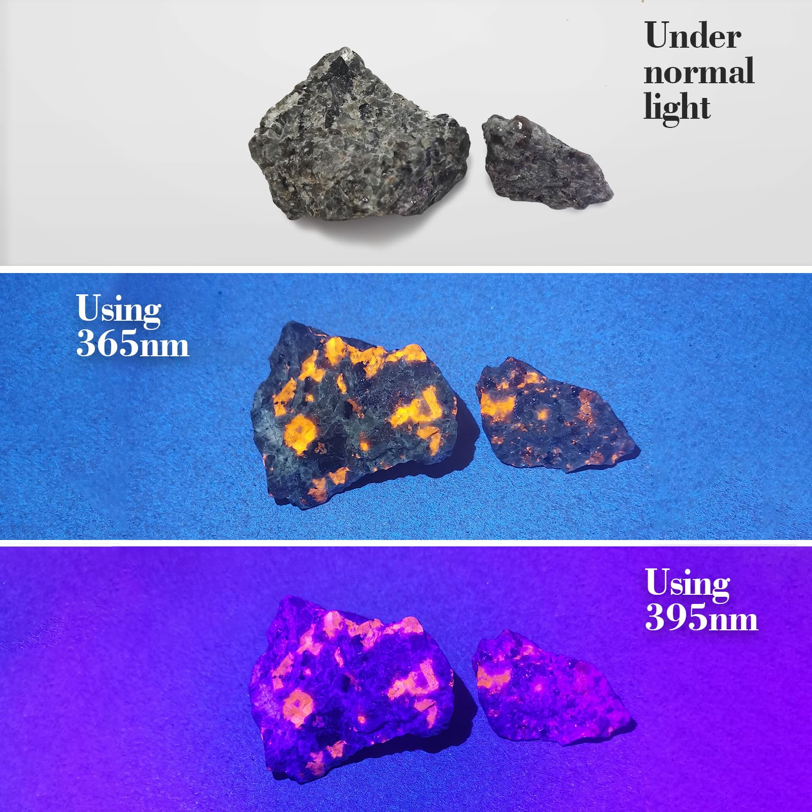 Tnatra Uv 365Nm And 395Nm Flashlight, Uv Blacklight For Uv Glue Curing,Rocks & Minerals Hunting,Pet Stain Detector&Scorpion Finder, Dry Stain, Portable&Zoomable Led Ultraviolet Flashlight