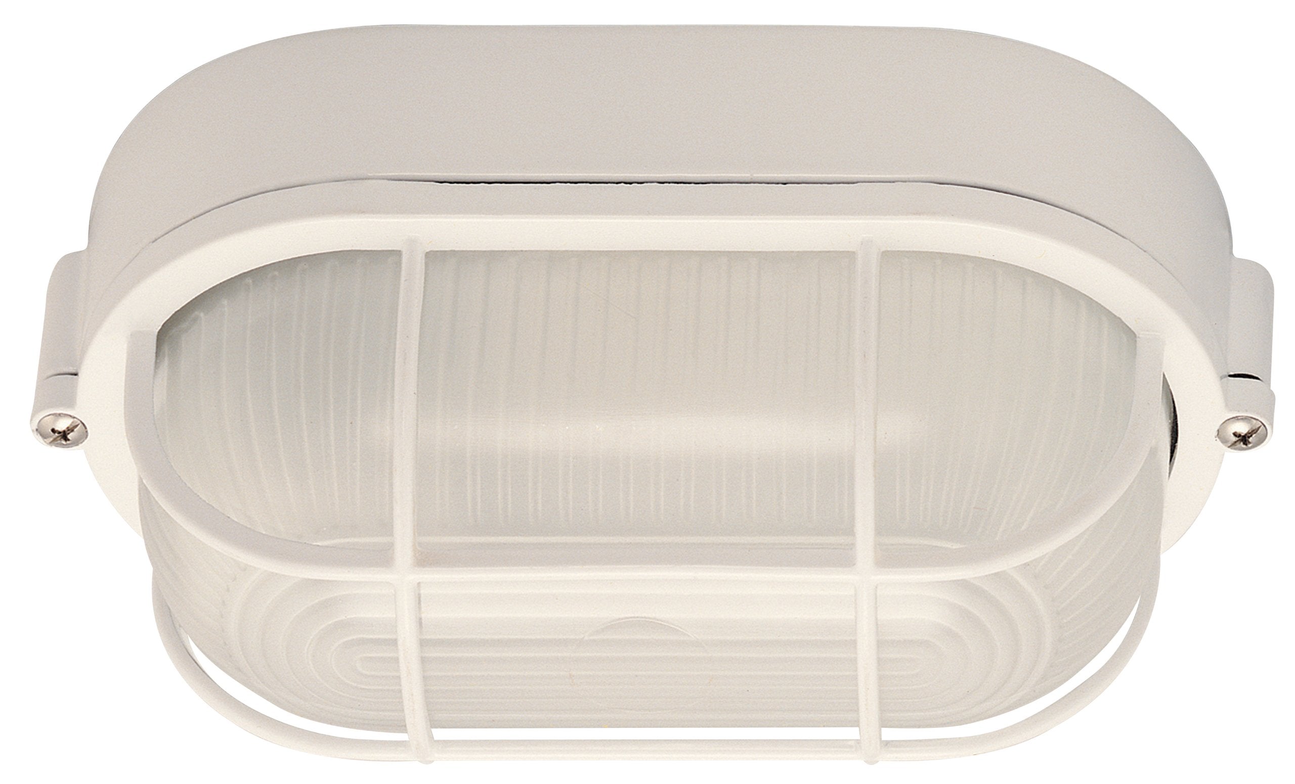 Canarm IOL16WH Outdoor Lantern, 1 Light, White Finish, Glass, Size L