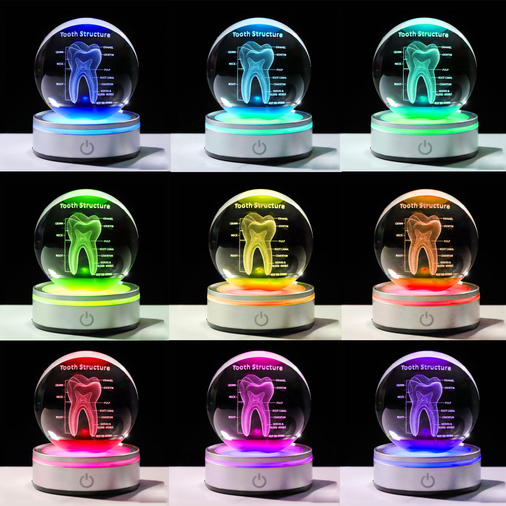 Enjinkail Tooth Model 3D Crystal Ball Dental Gifts For Women Men, Dentist Hygienist Present Office Decor With Led Base, Laser Et