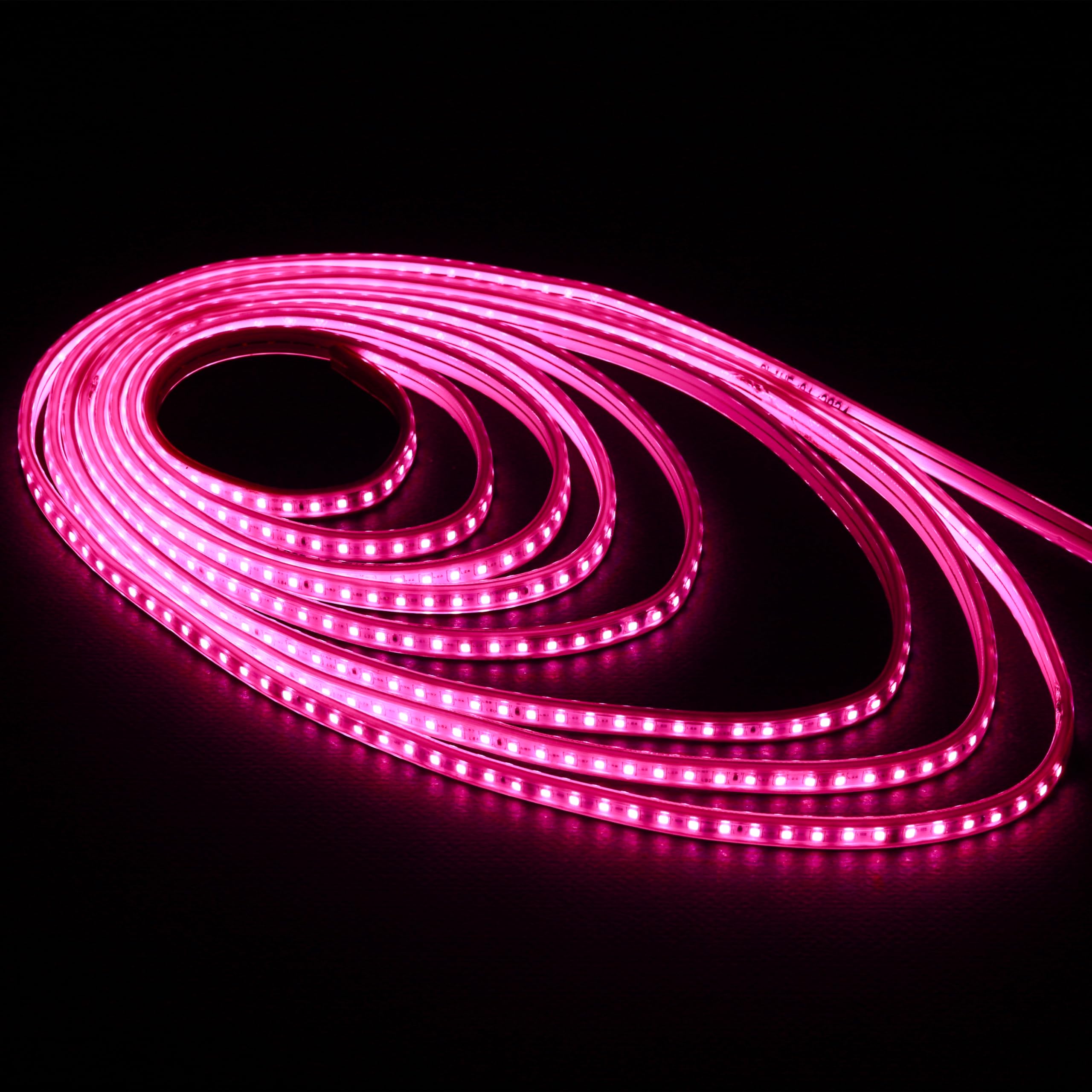 Lexton 5 Meter LED Rope Light for Home Decoration- Cove Light for Ceiling | Led Rope Lights for Diwali Decoration,Birthday,Chris