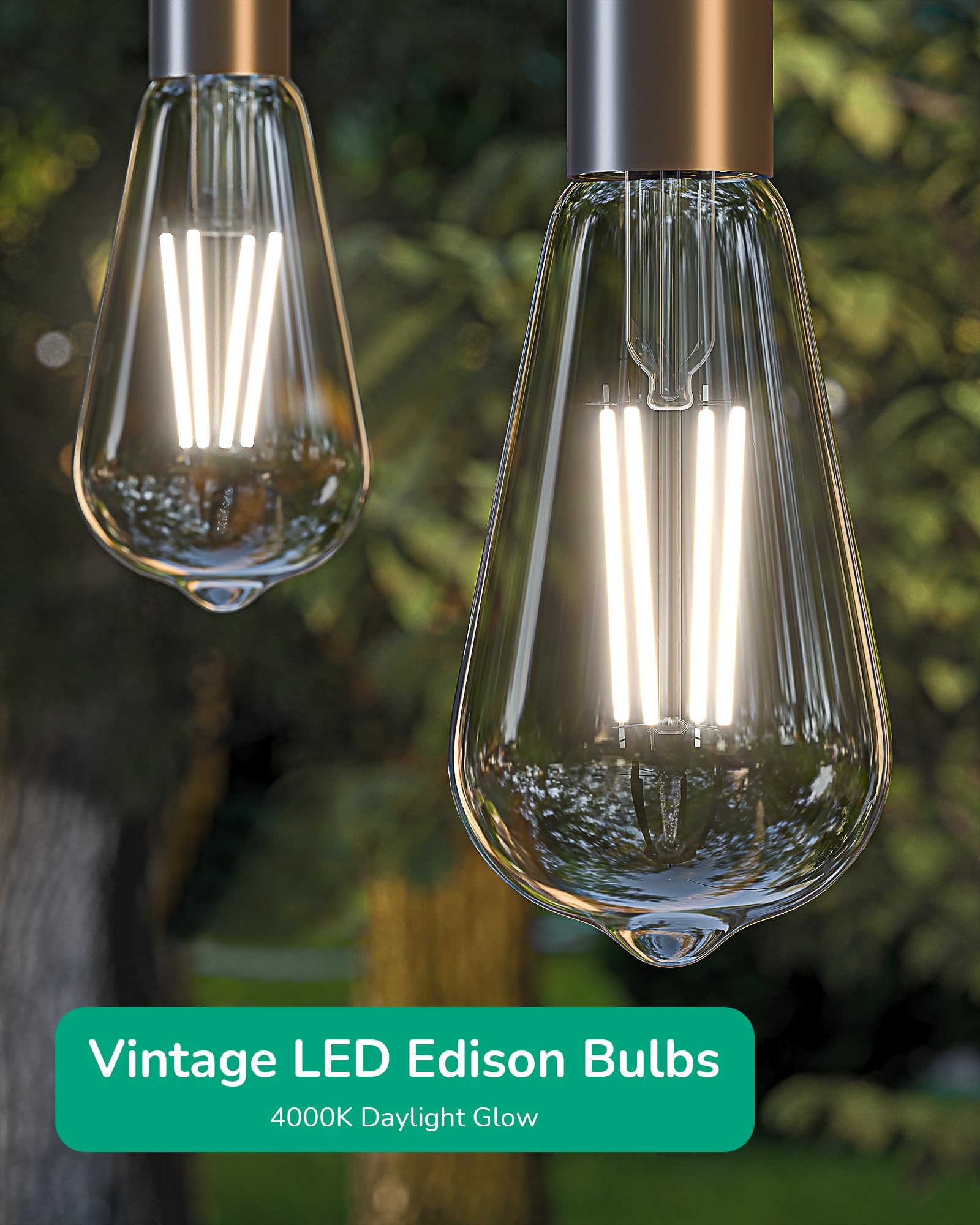 Edishine 6 Pack Vintage Led Edison Bulbs 8W Equivalent 60W, St64 Dimmable Led Light Bulbs, 700Lm 4000K Cool White Light E26 Base
