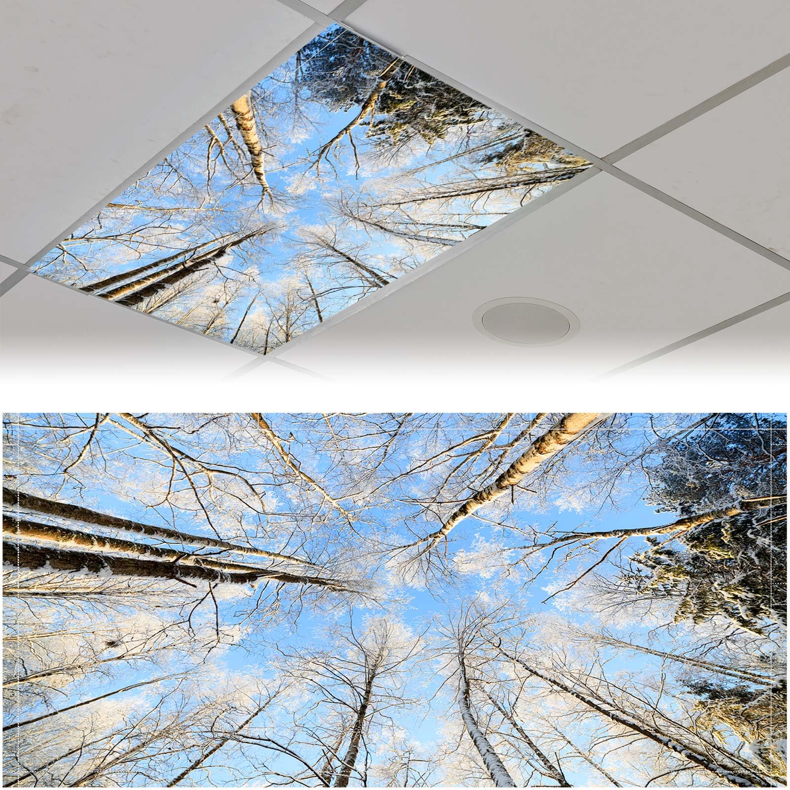 Patelai Fluorescent Light Cover Shade for Ceiling Classroom, 4 x 2 Feet, Magnetic with 10 Magnets, Winter Forest, Model PT-Patelai-56766