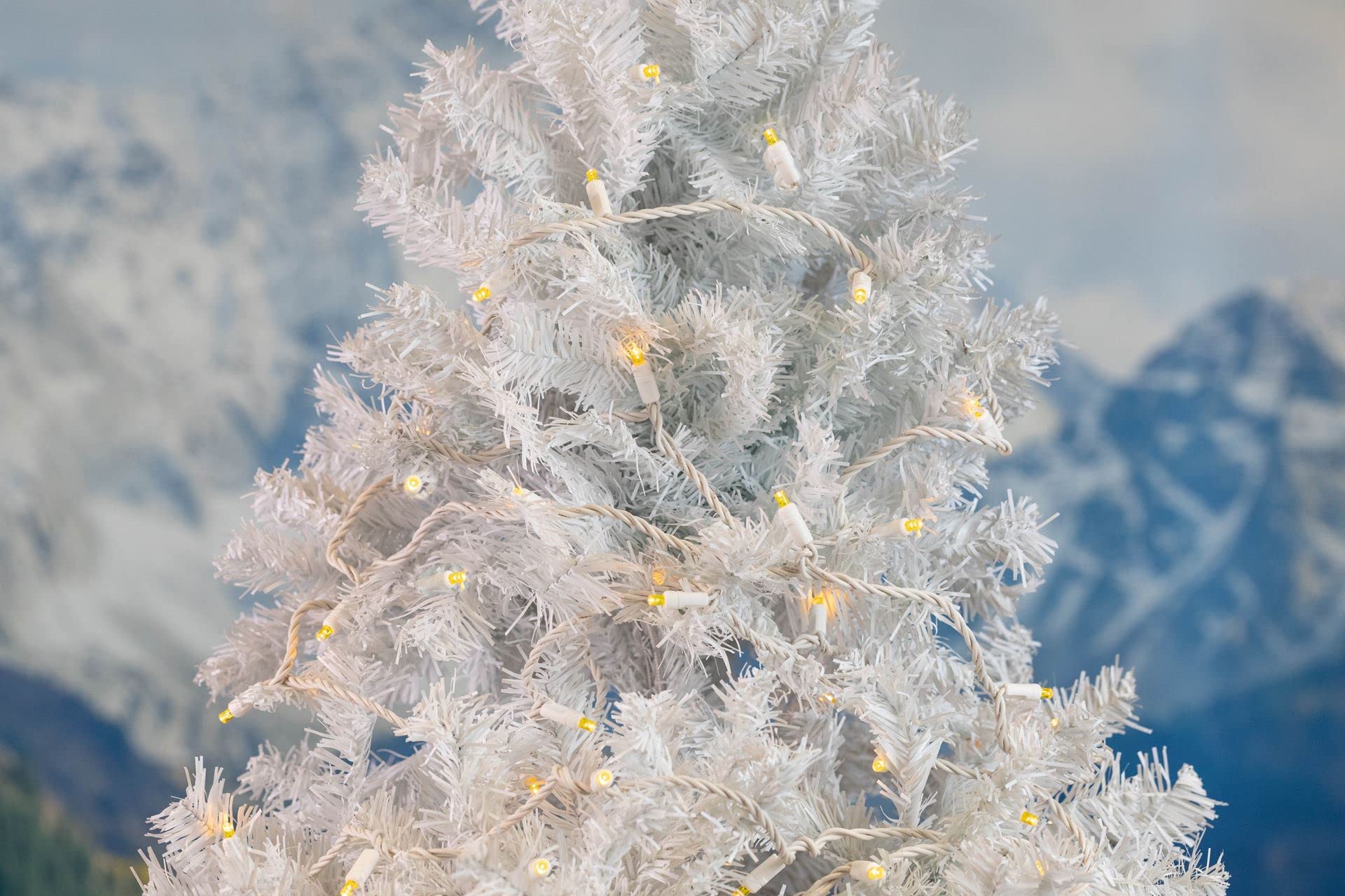 Novelty Lights 50 Light LED Mini String Light Set, Yellow, 25 Feet, Copper Wire, Outdoor Wedding Patio Lighting