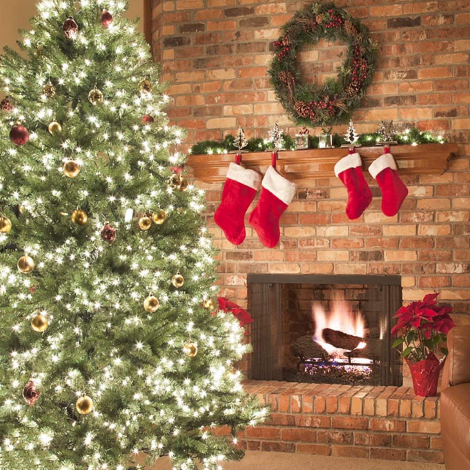 Koxly 18Ft Battery Operated String Lights,Outdoor String Lights Christmas Lights 50 Led String Lights With Remote Timer Waterproof For Indoor Outdoor Garden Party Christmas Decoration, Cool White