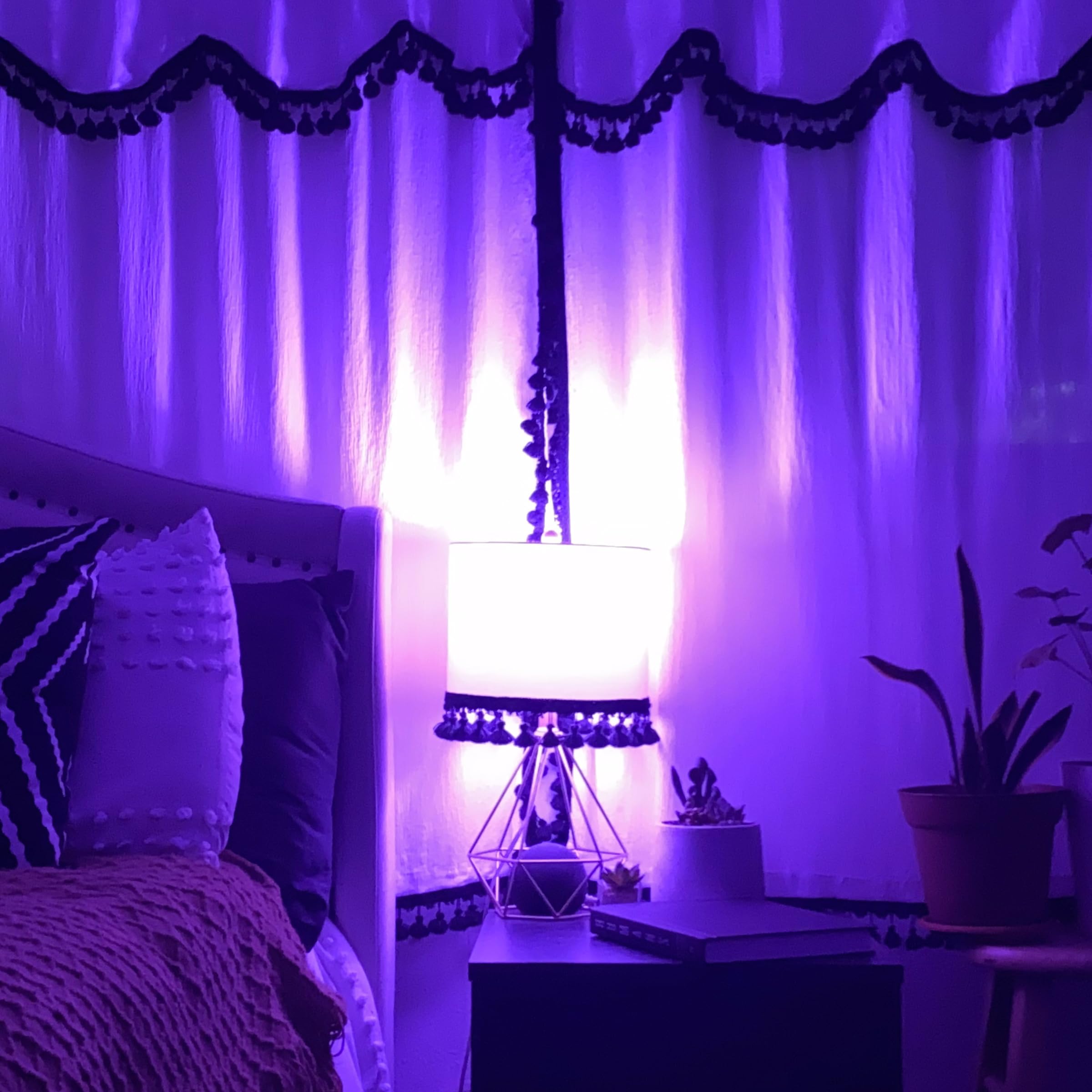Feit Electric A19 Purple Filament Led Bulb, 25W, Glass, 2.38 D X 4.44 H, Model A19/Tp/Led,