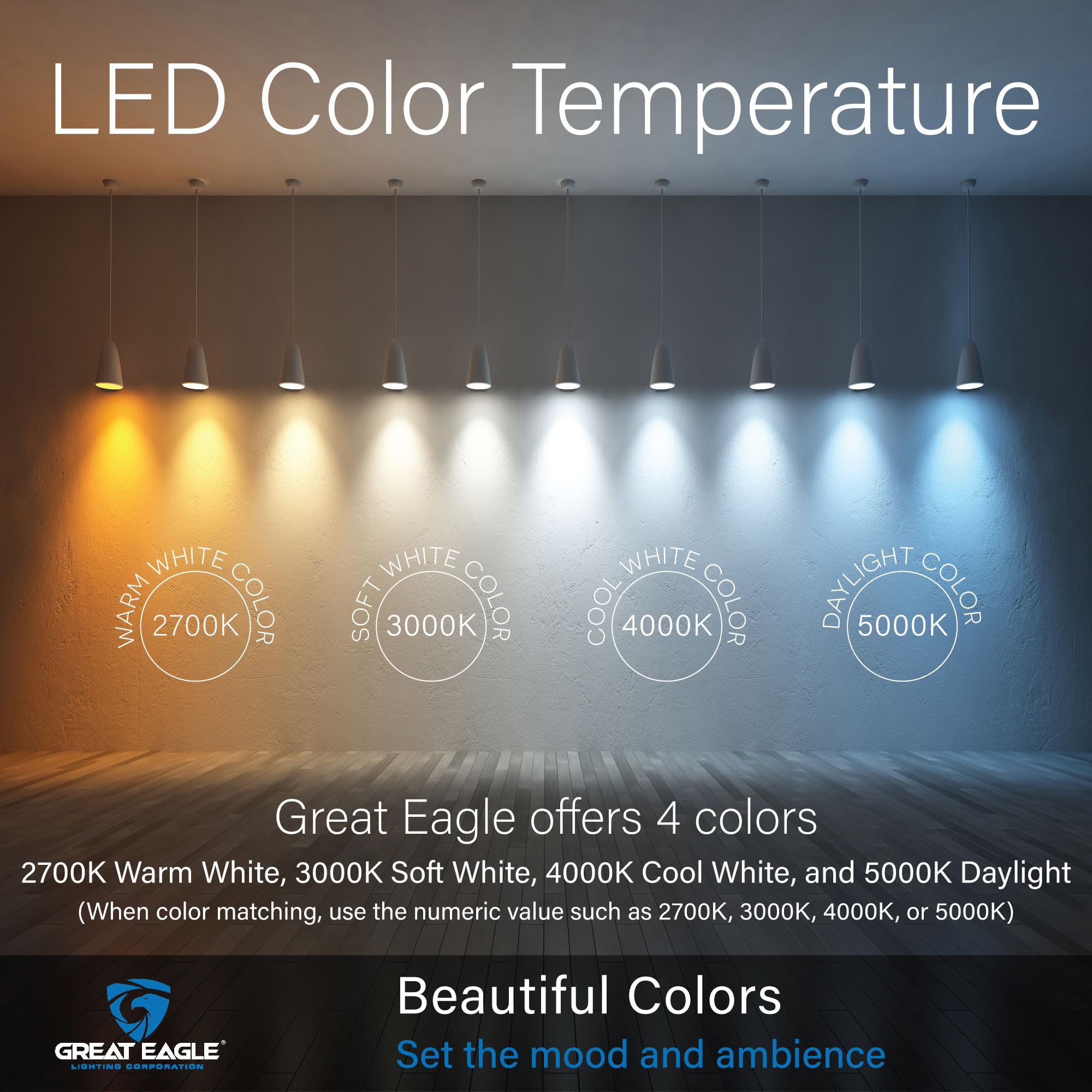 Great Eagle A19 LED Light Bulbs, 100W Equivalent, 15W Non-Dimmable, 1500 Lumens, Warm White 2700K, 6 Pack, Plastic