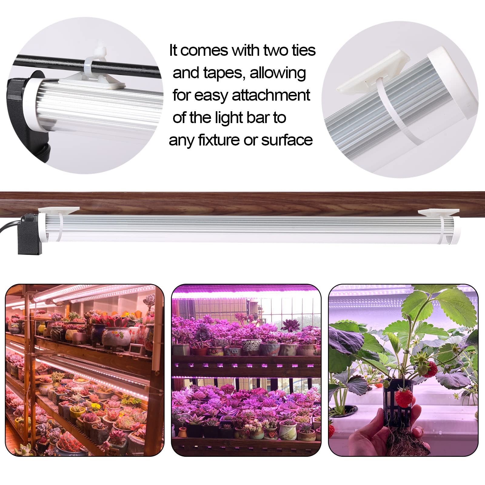 JCBritw T12 Adjustable LED Grow Light, 6500K Full Spectrum Plant Lamp on Stand for Indoor Plants, Seedlings, Veg, White