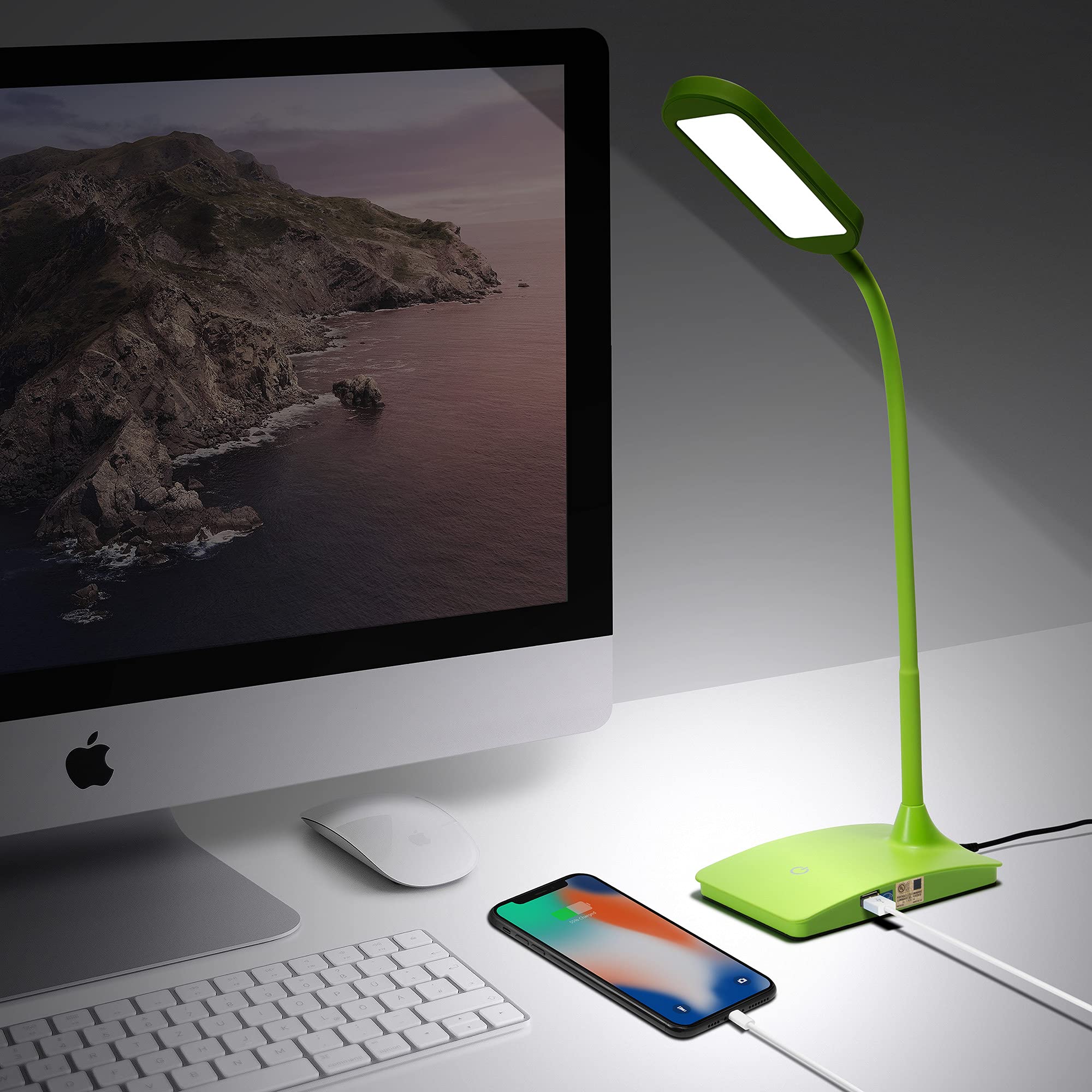 TW Lighting Green Desk Lamp - Super Bright LED with USB Charging Port, Model IVY20-40GR