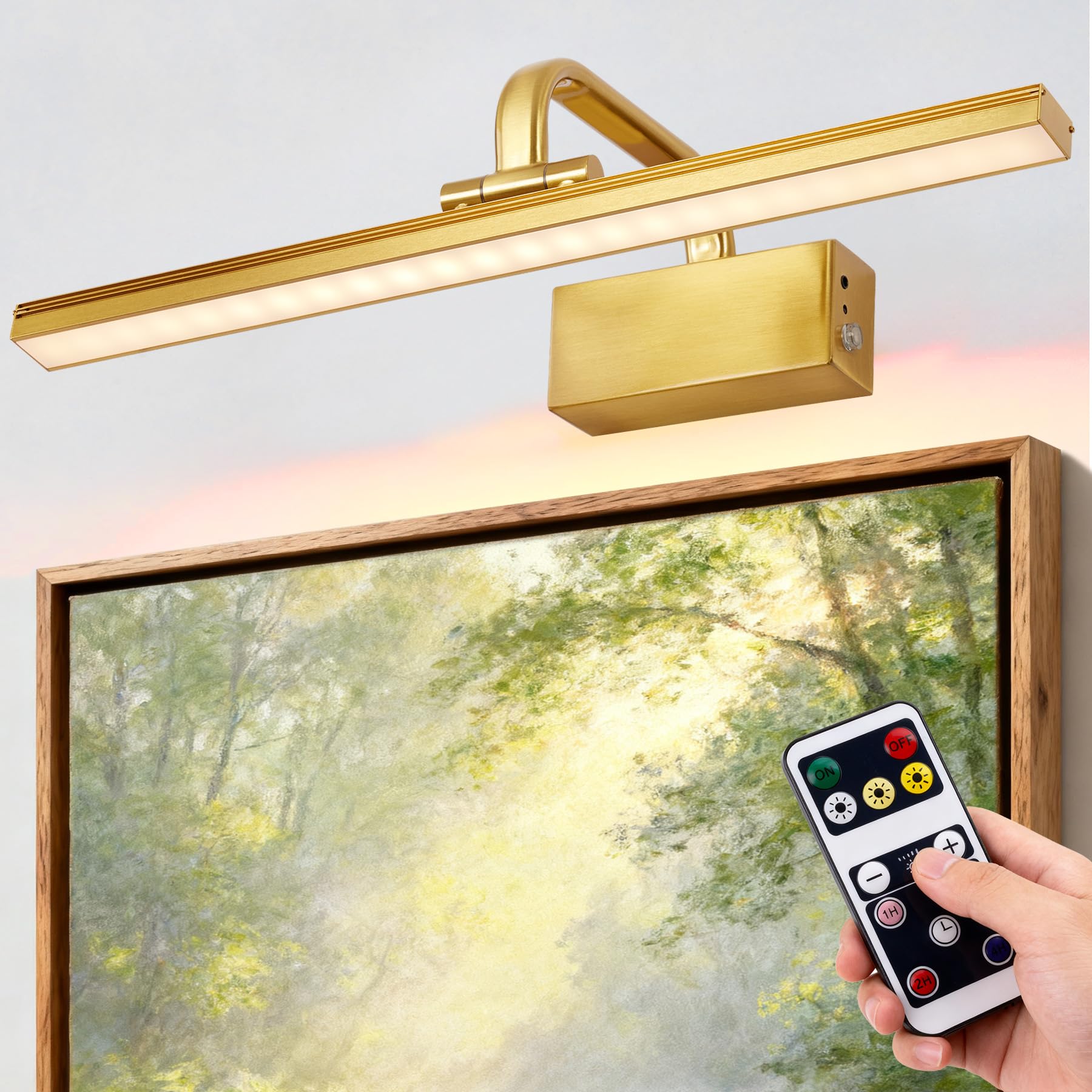RAIFOOLLY Picture Light,Picture Lights for Wall Cordless,Picture Lights with Timer and Dimmable,Battery Wall Lights for Display 