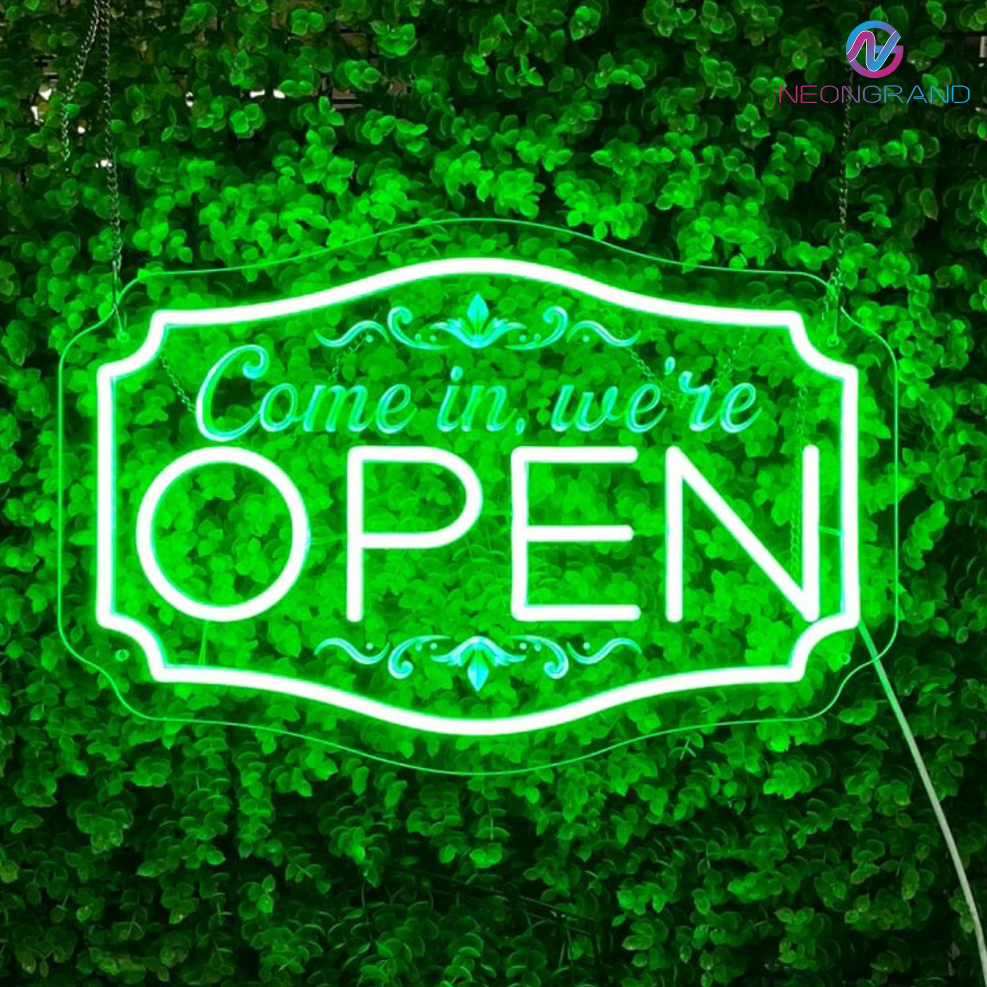 LED Neon Open Sign for Business, Adjustable Brightness Neon Lights for Party Bar Salon Stores Hotel Wall Decor Come in were Ope
