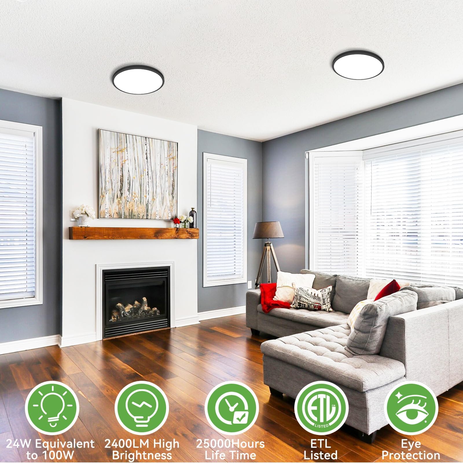 Zemty Black Ceiling Light 9 Inch,24W 2400Lm Bright Led Flush Mount Light Fixture 3000K/4500K/6000K Adjustable,Thin Flat Ceiling