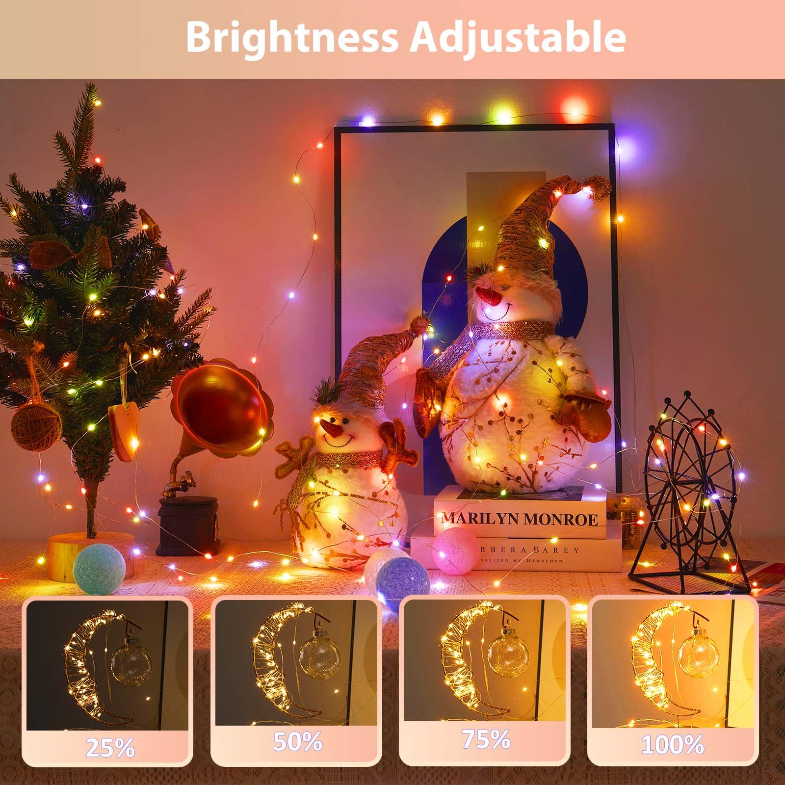 Ariceleo 50 Led Battery Operated String Lights, 5M Warm White & Multi-Color, Remote Control, Waterproof Silver Wire Fairy Lights