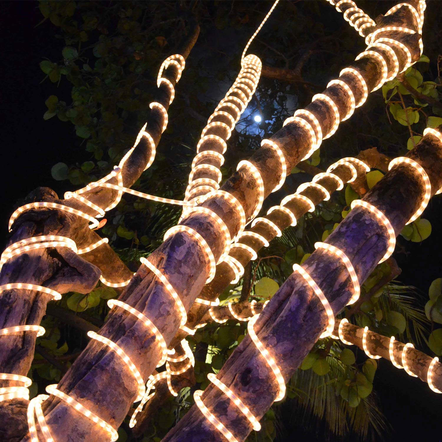 Guotong 50Ft Led Rope Lights, 540 Warm White Leds, Waterproof, Indoor/Outdoor Decorative Lighting
