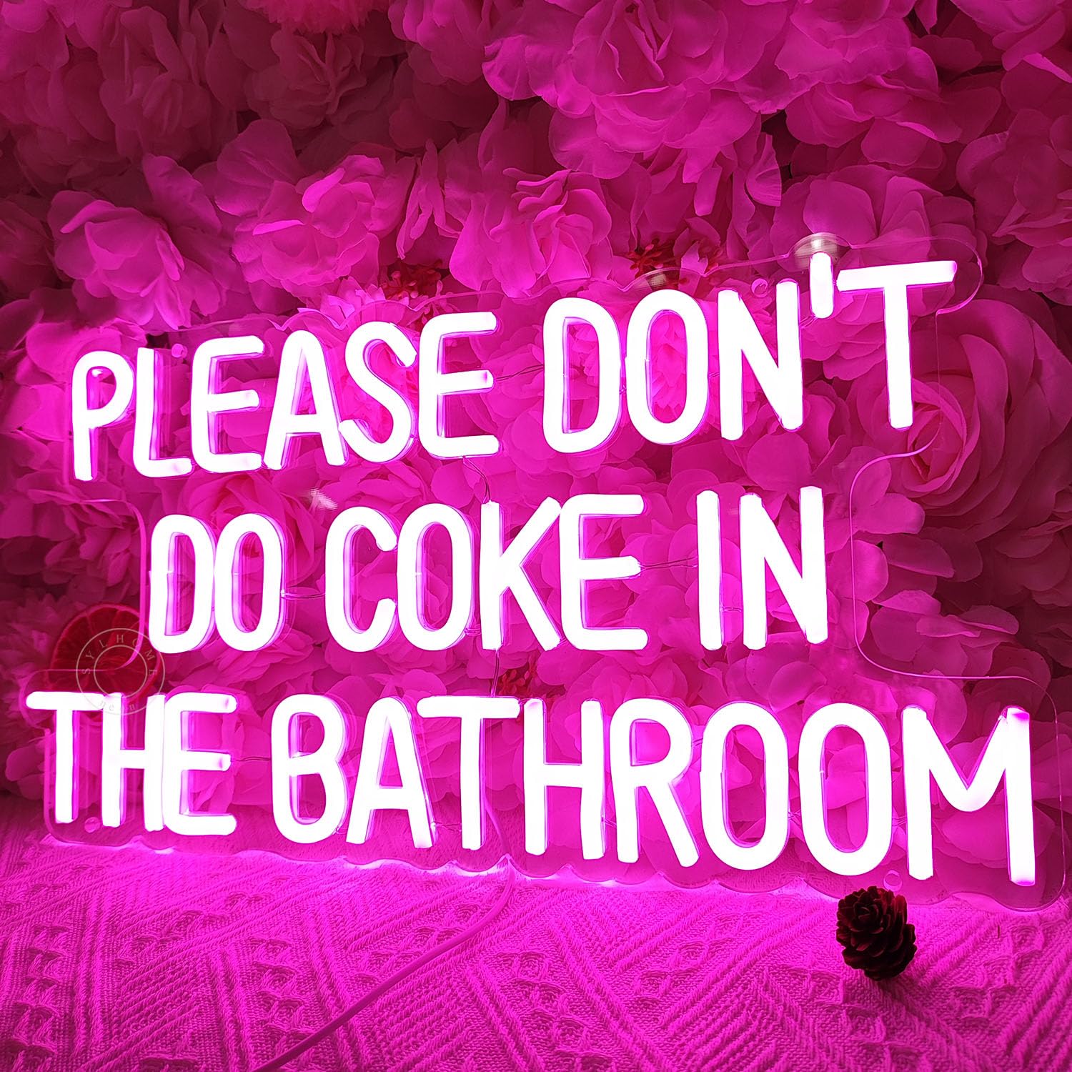 SYLHOME Neon Light Sign for Game Room, Bedroom, Bar, USB, 16.9in x 9.2in, Pink Please Dont Do Coke, Acrylic and Glass Decor