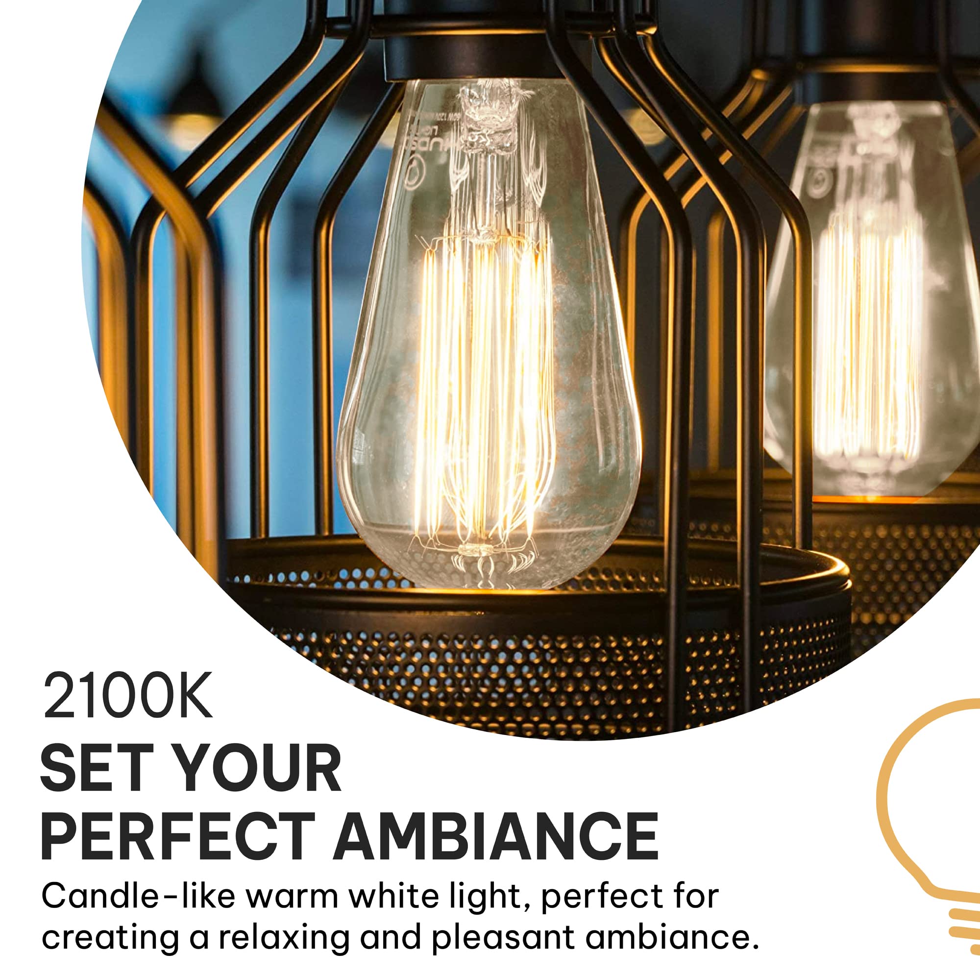 Hudson Bulb Co. Vintage Edison Incandescent 60W 12-Pack Light Bulbs - Antique St64 Dimmable 2100K Warm Decorative Squirrel Filam