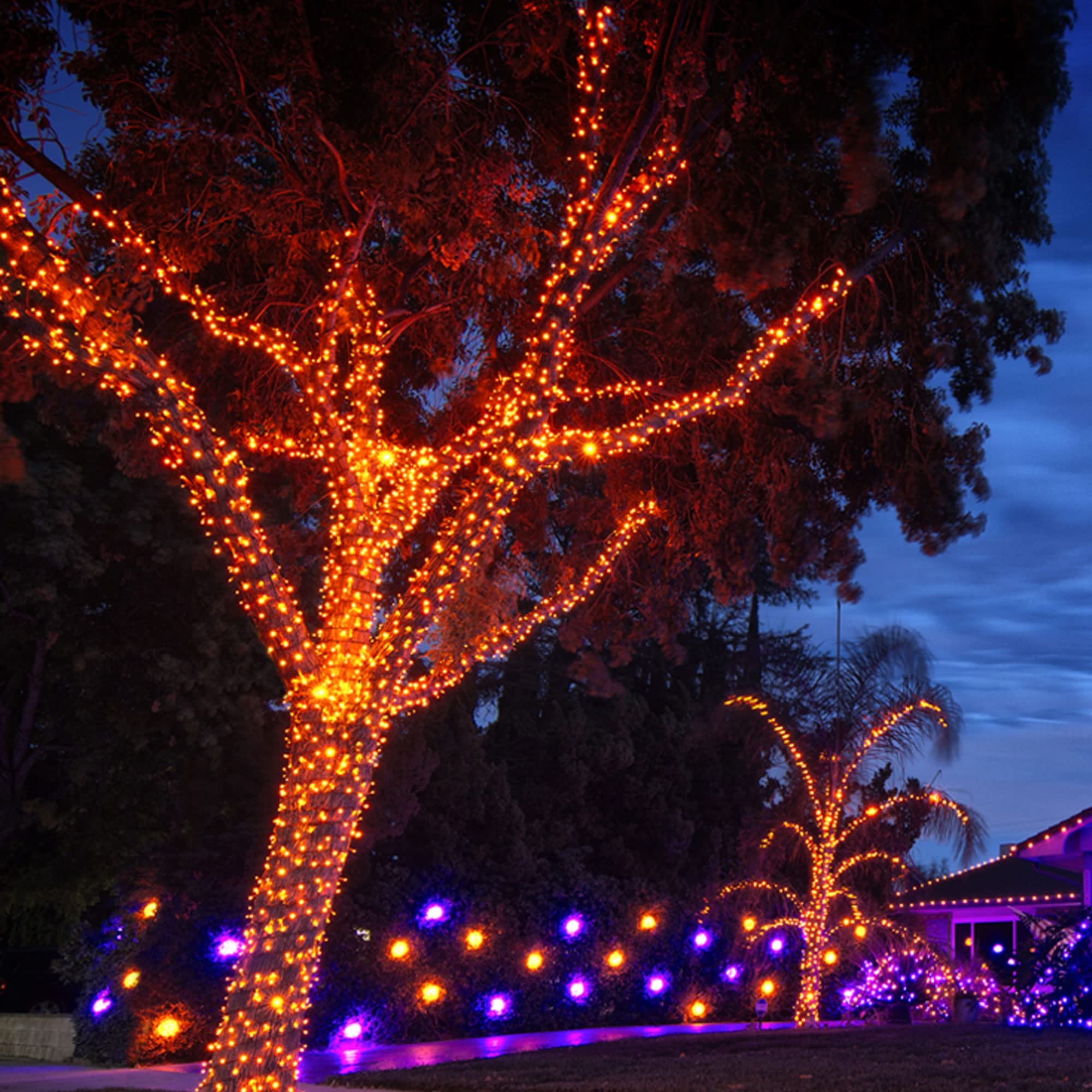 TW SHINE Orange Halloween Lights, 20FT 100 Count Mini String Lights, Waterproof, Model ZF-100-2/SB