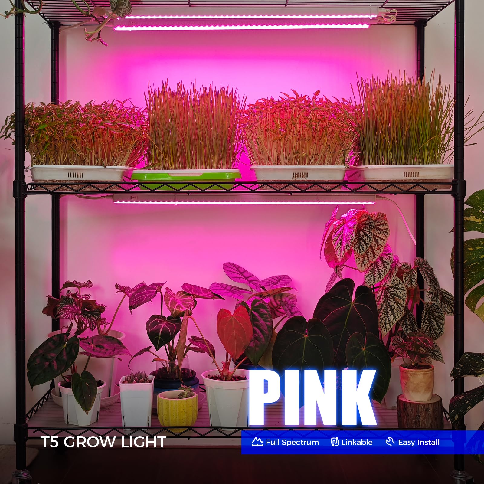 Barrina T5 Grow Lights, Full Spectrum LED Bulbs, 80W, 2ft, Aluminum, Pink, 8-Pack, Model INWT504005650Fc
