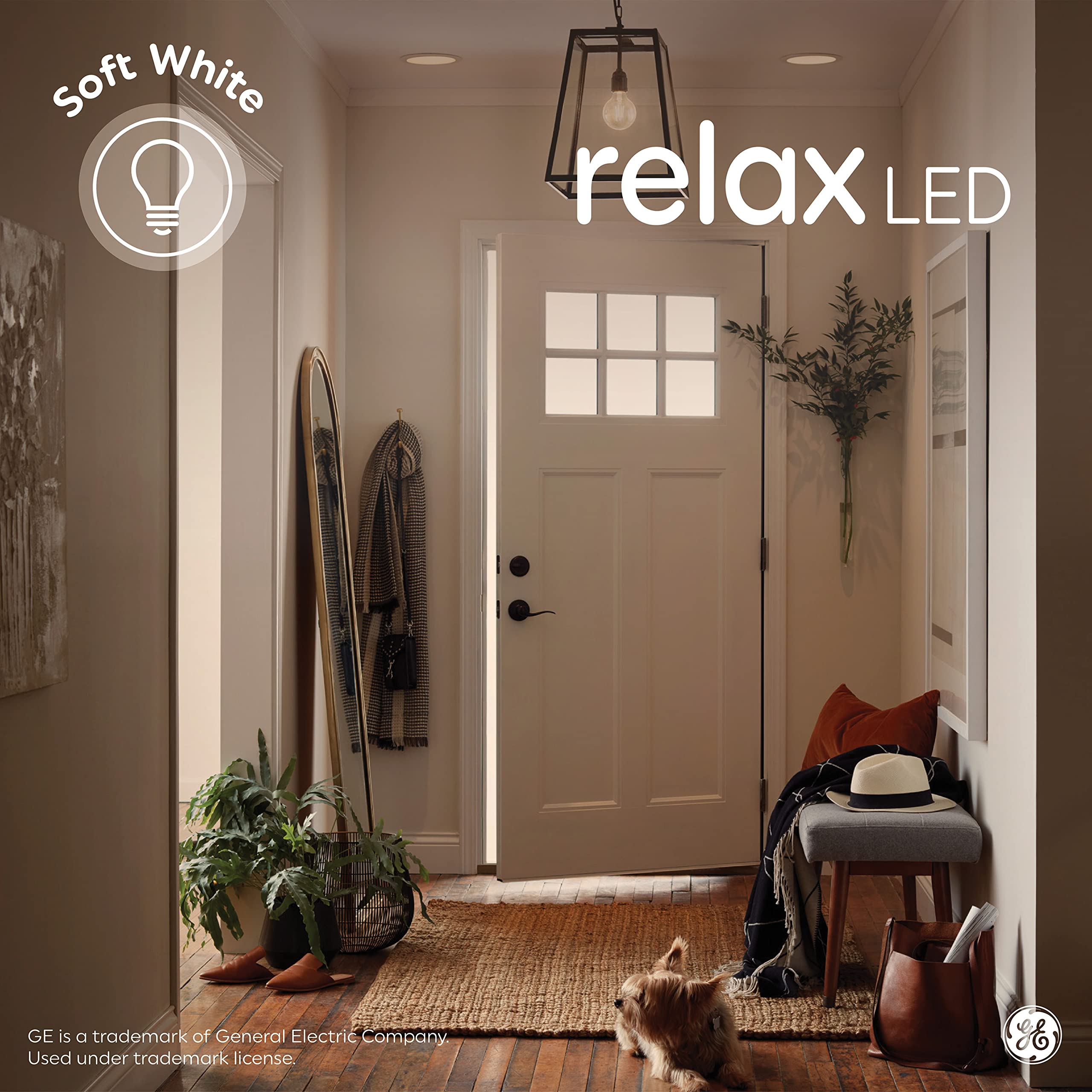 Ge Relax Led Light Bulbs, 40 Watt, Soft White, G25 Globe Bulbs, Clear, Medium Base (2 Pack)