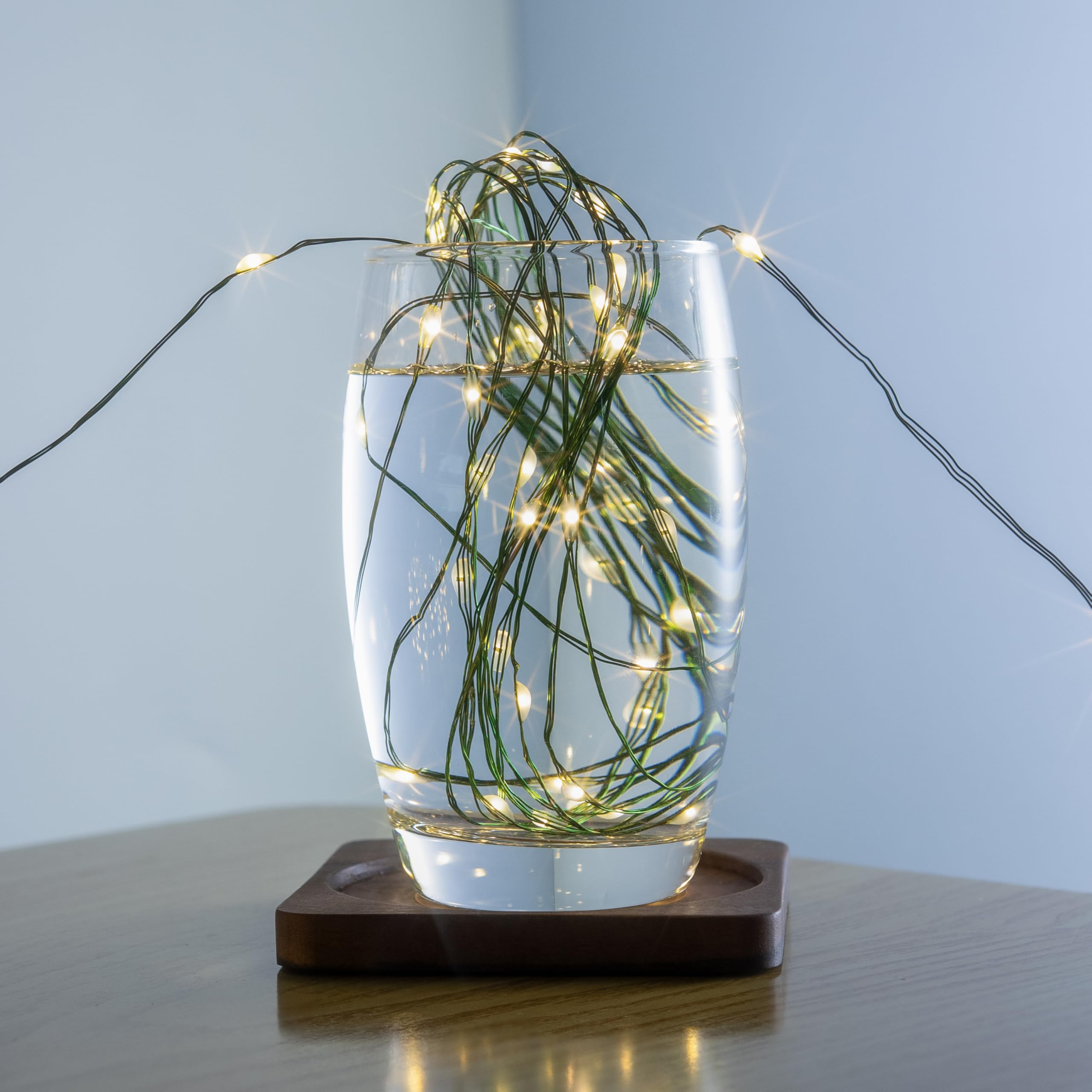 PCORES 164FT LED Fairy Lights, Warm White Waterproof Copper Wire String Lights with Remote & Timer, Model DS-GR-600-CTR