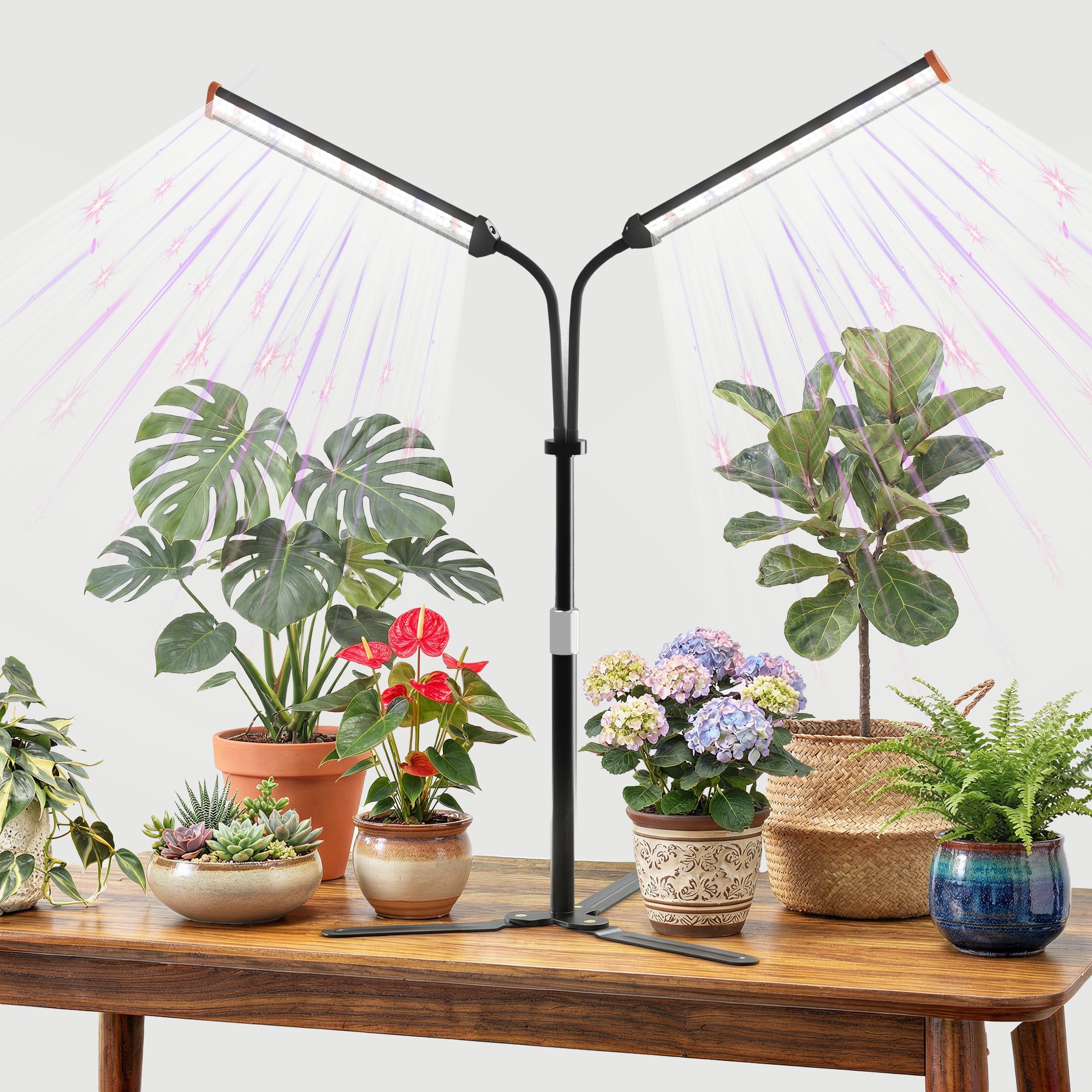 GooingTop Grow Light for Indoor Plants,5000K Full Spectrum Growing Plant Lamp with White Red Blue LED for Pots Succulents Seed S