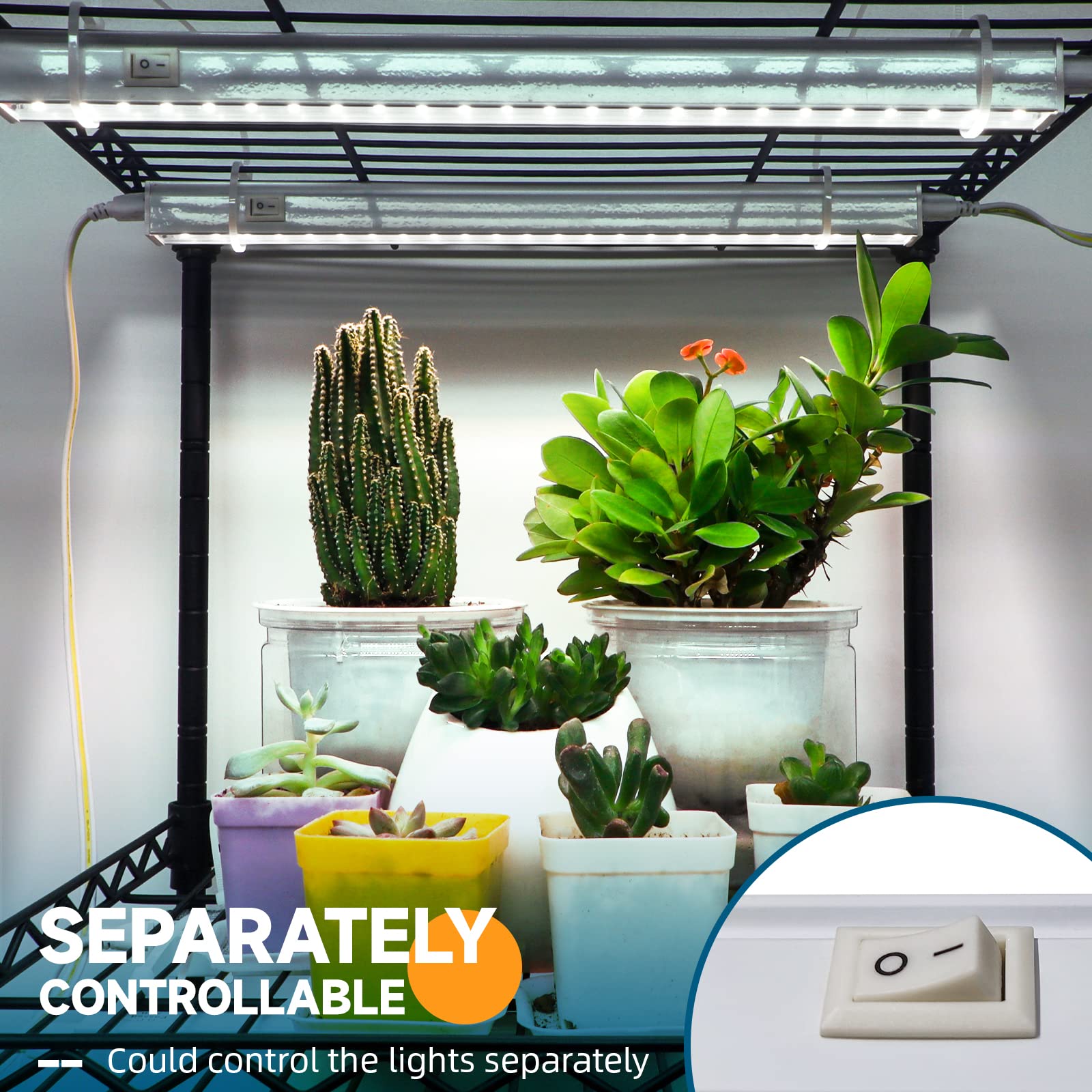 Barrina Grow Lights For Indoor Plants, 5000K White Full Spectrum Led Grow Light, 1Ft Plant Grow Light, Led Grow Light Bulbs, T5